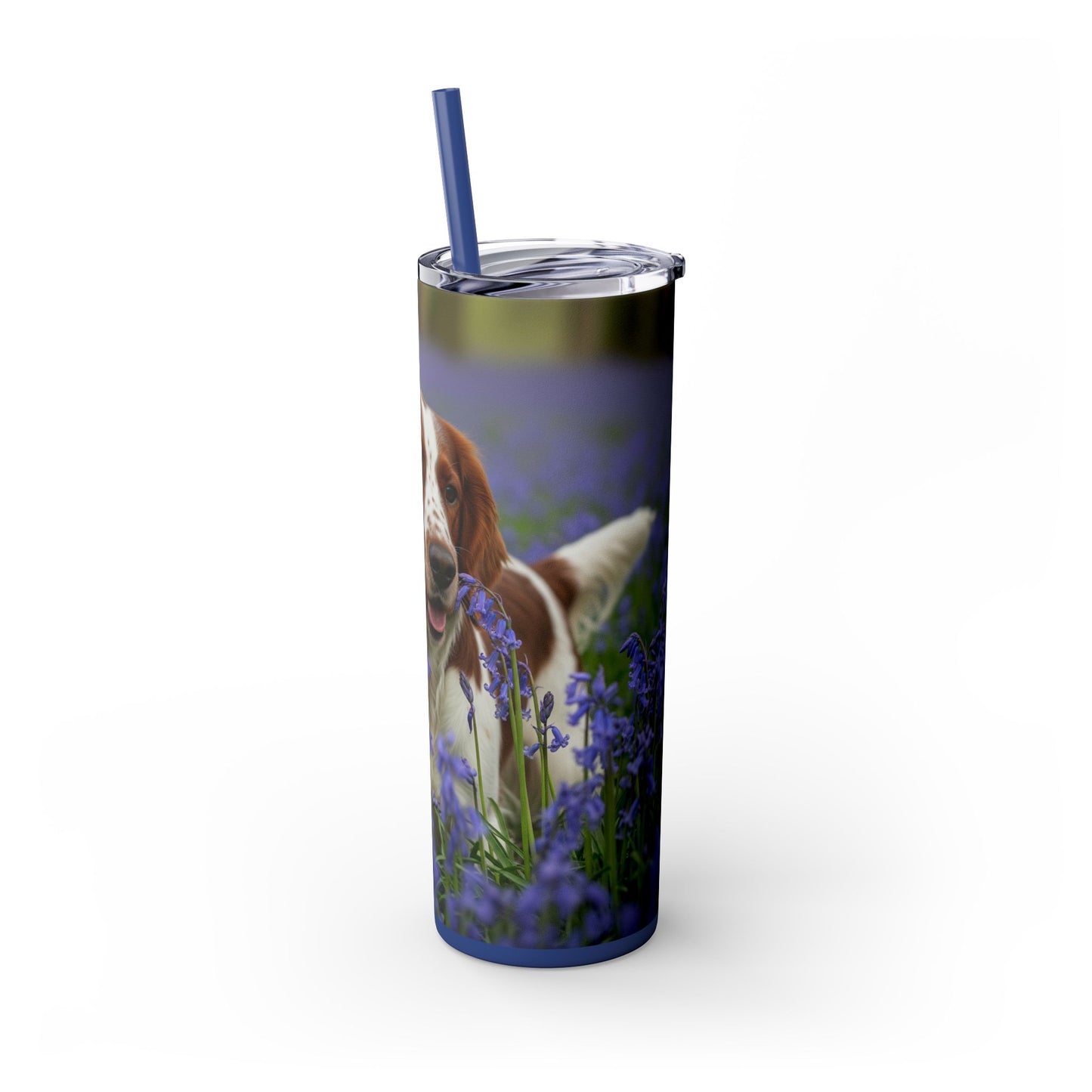 Welsh Springer Spaniel Skinny Tumbler with Straw, 20oz