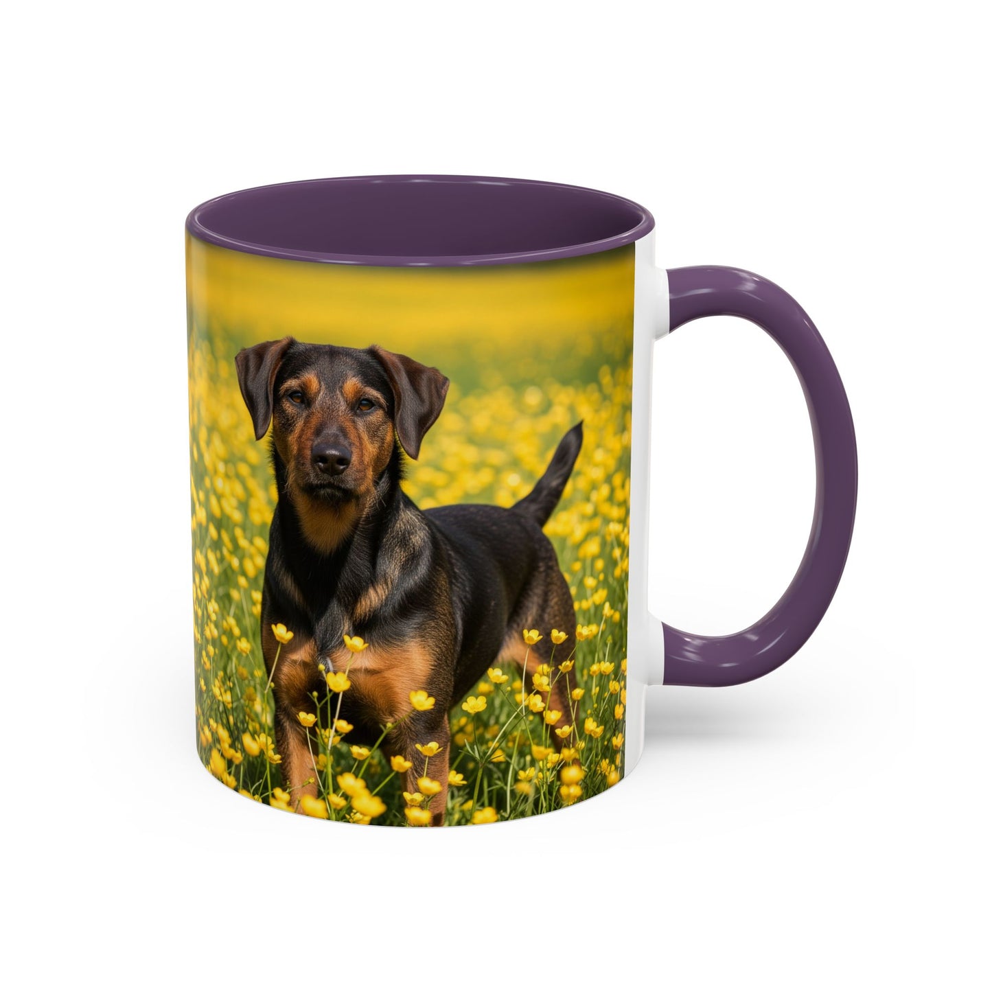 Drever Accent Coffee Mug - Perfect Gift for Dog Lovers