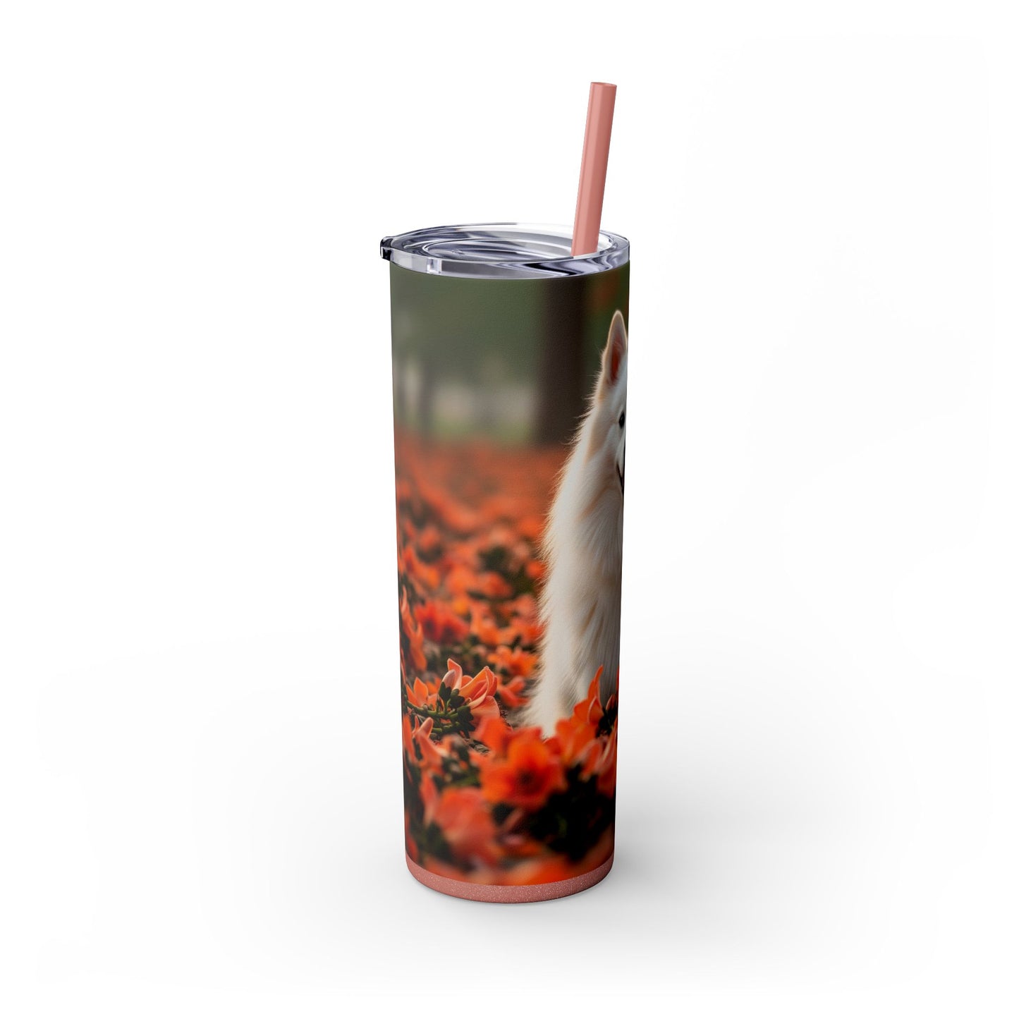 Indian Spitz Tumbler with Straw, 20oz