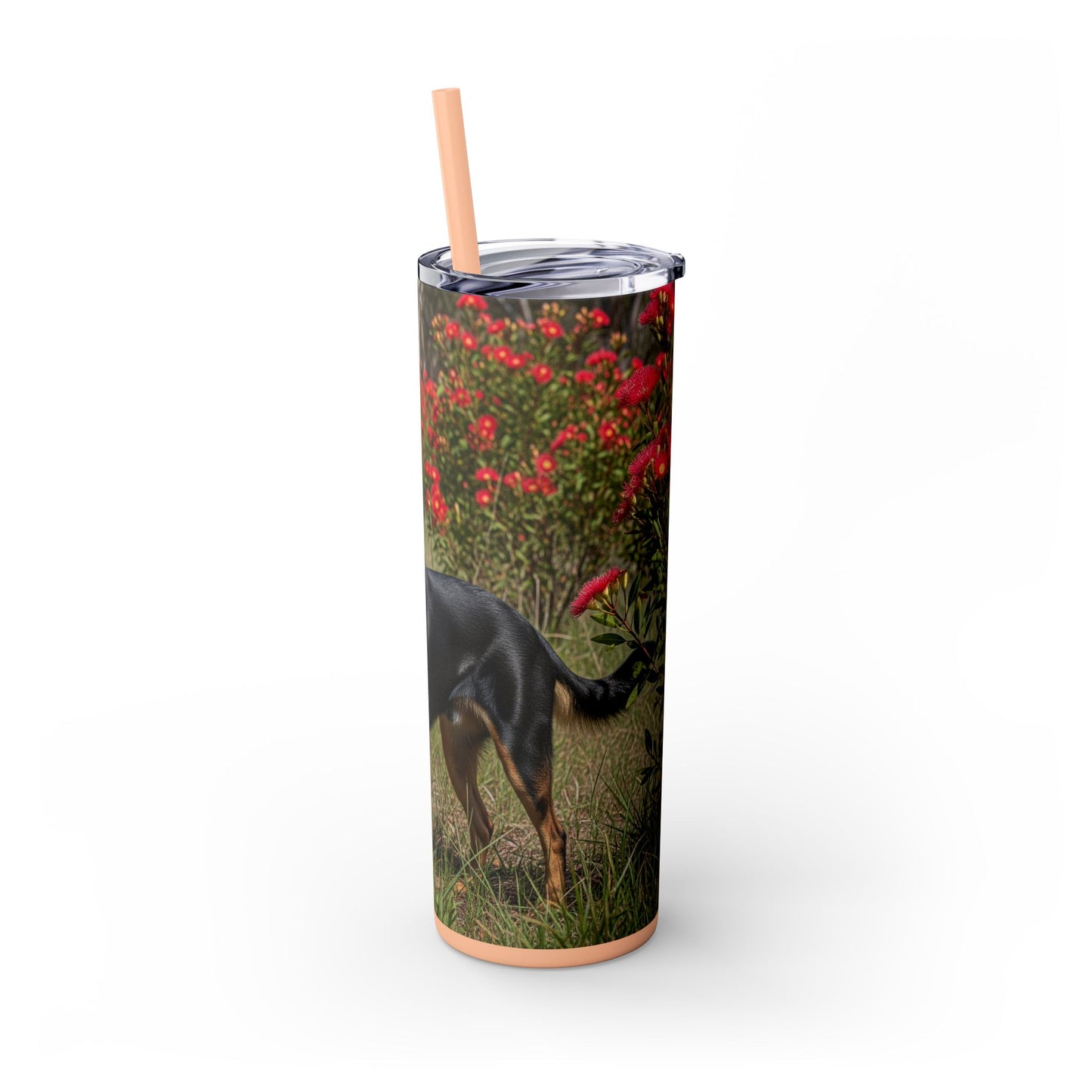 Australian Kelpie Tumbler with Straw, 20oz