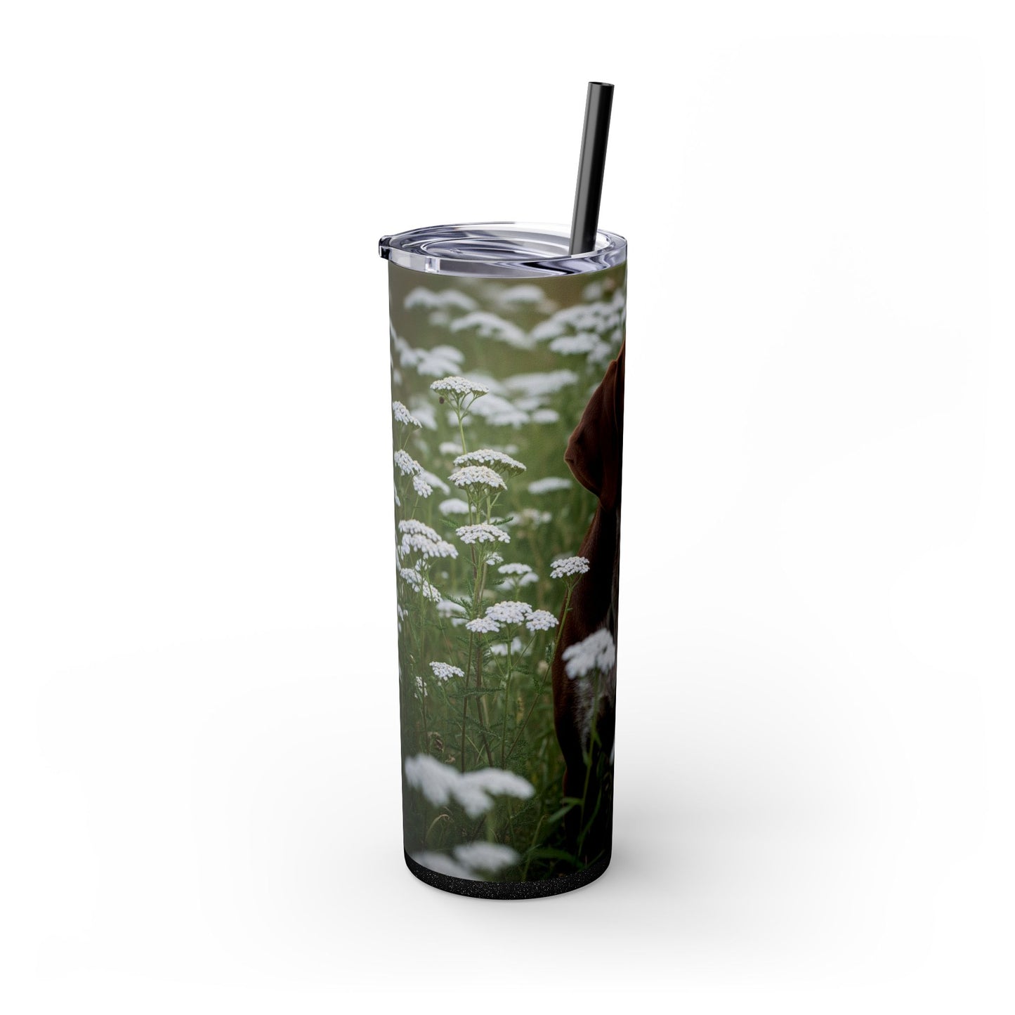 Braque du Bourbonnais Tumbler with Straw, 20oz