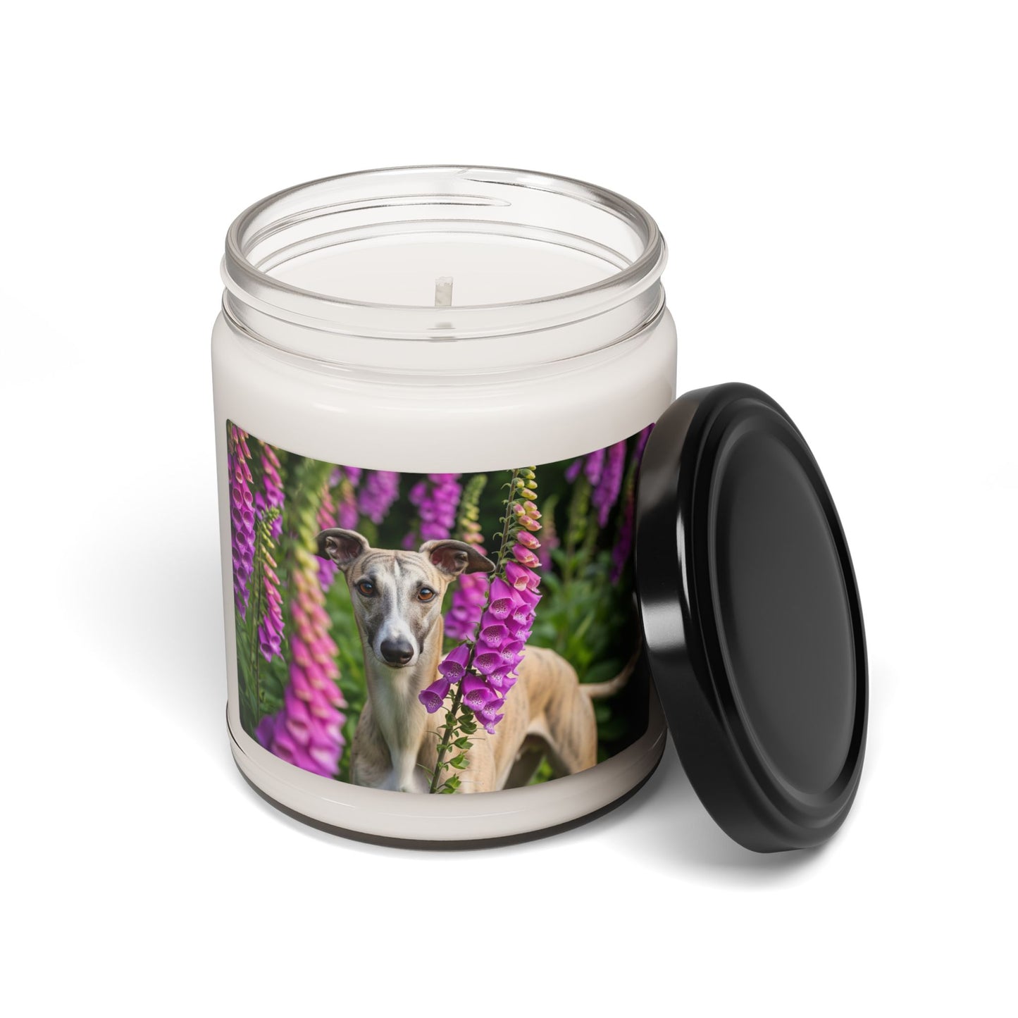 Whippet- Scented Soy Candle, 9oz