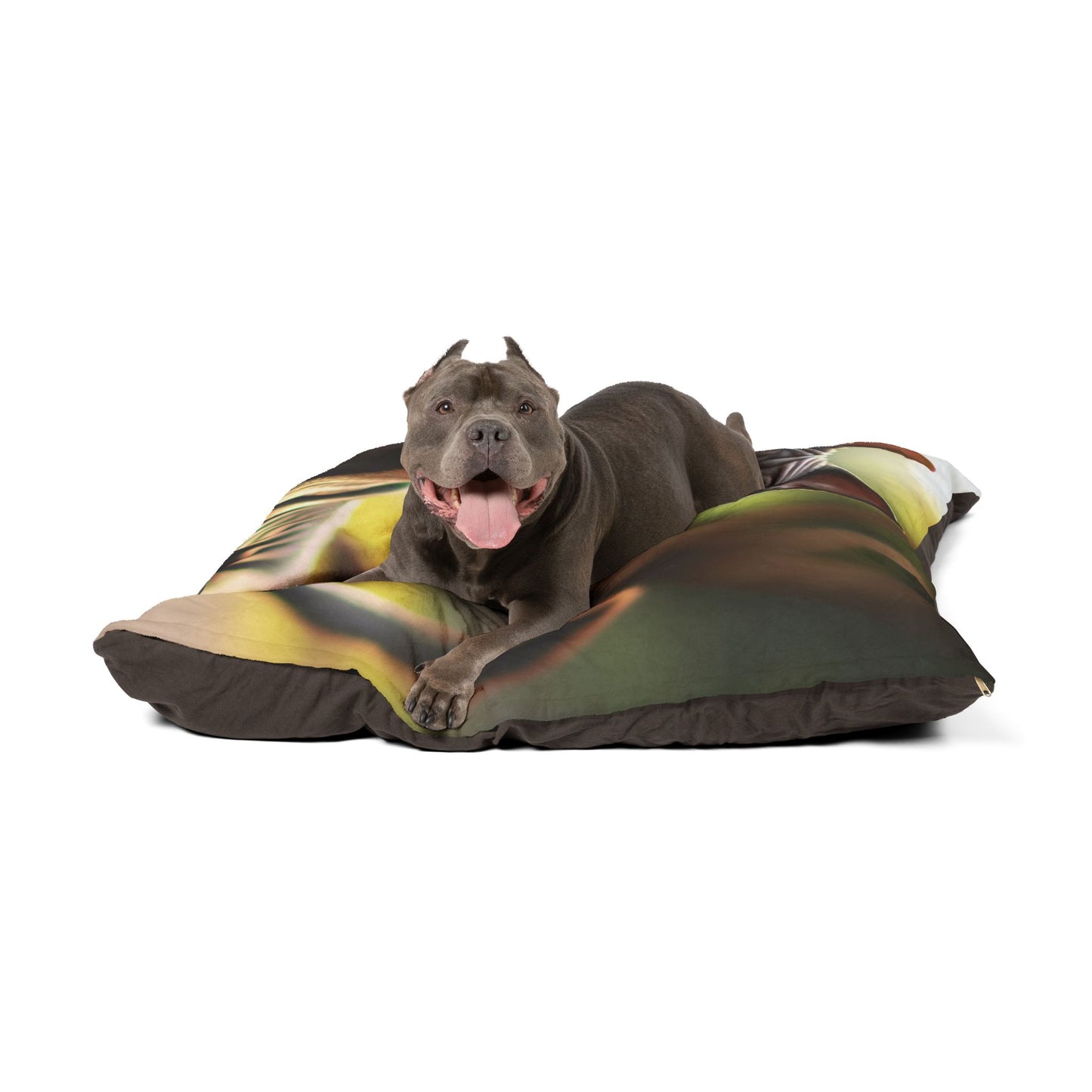 Thai Ridgeback Pet Bed