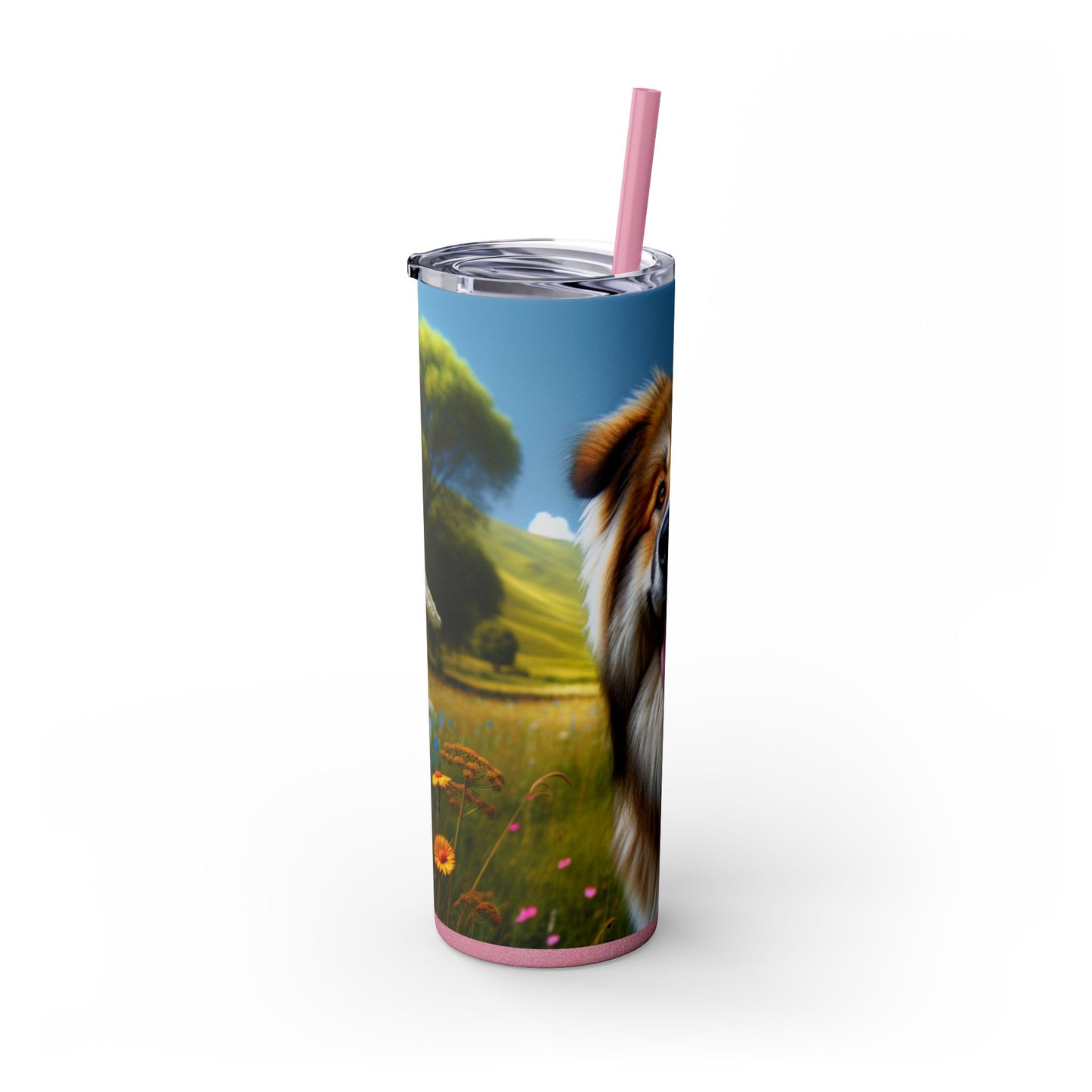 Bakharwal Tumbler with Straw, 20oz