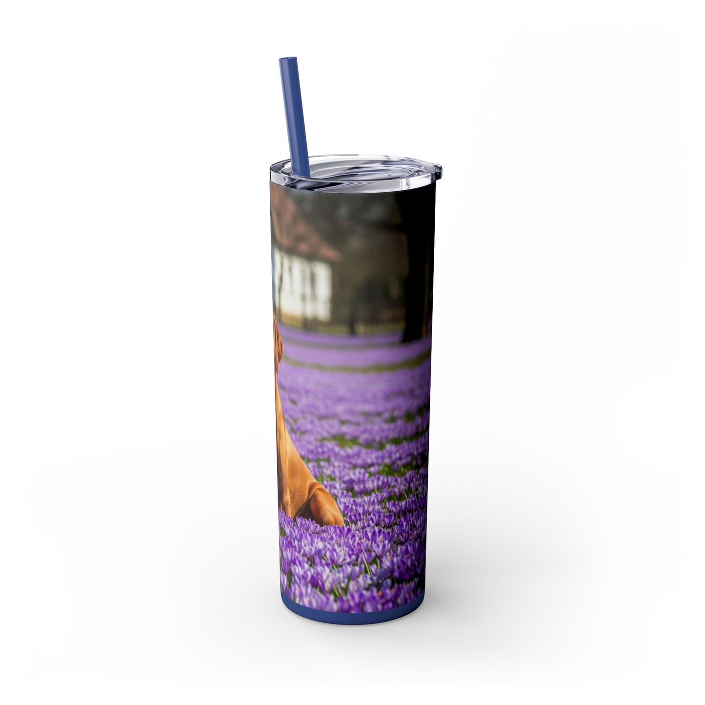 Vizsla Tumbler with Straw, 20oz