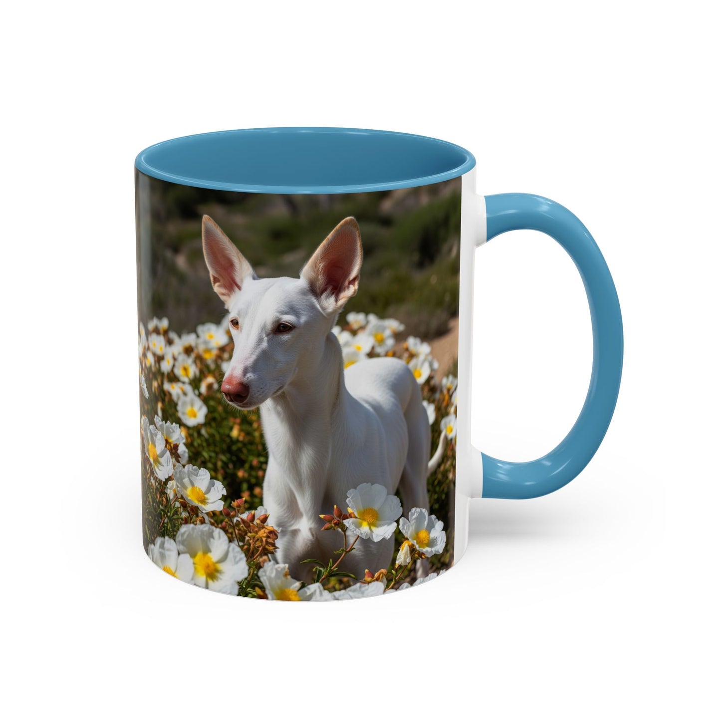 Ibizan Hound Accent Coffee Mug - Perfect Gift for Dog Lovers