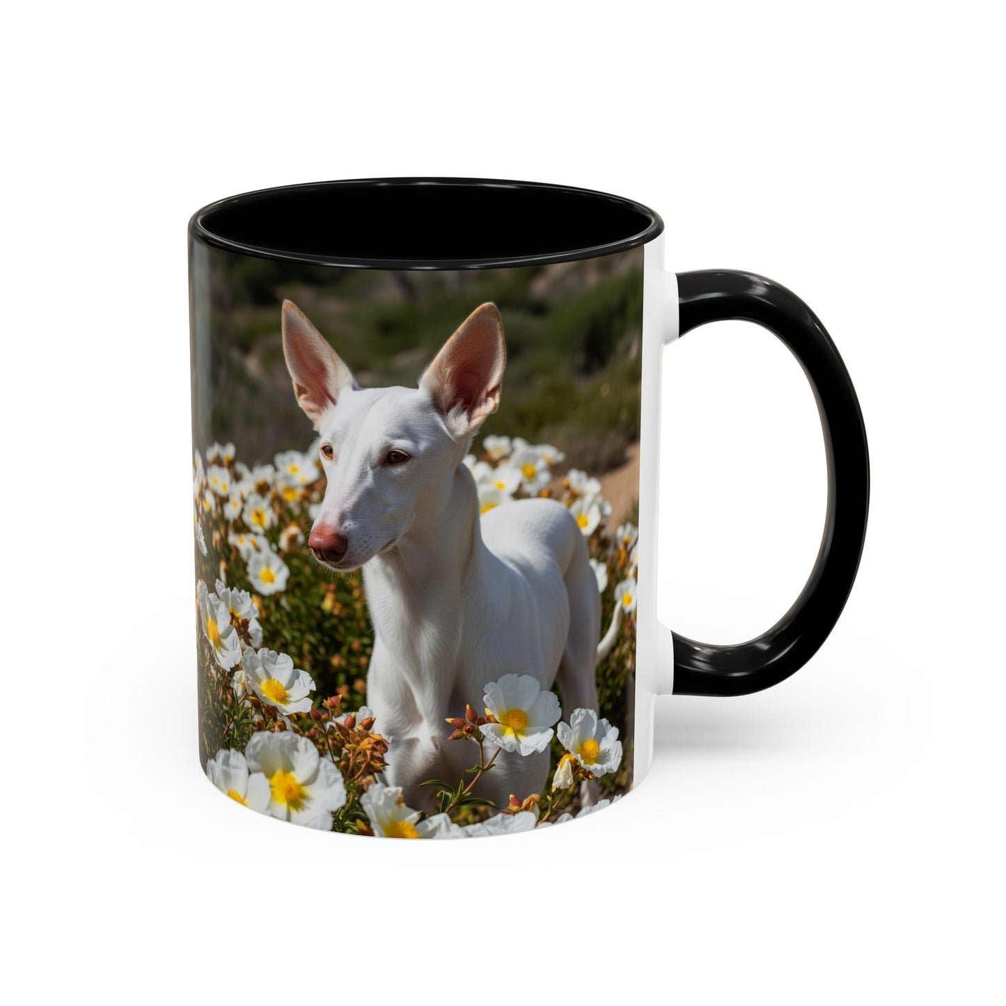 Ibizan Hound Accent Coffee Mug - Perfect Gift for Dog Lovers