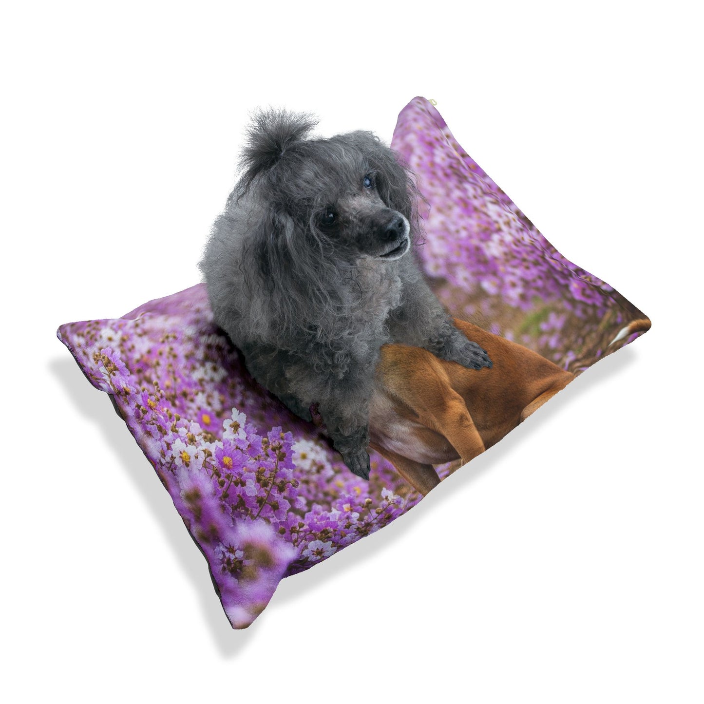 Banjara Hound Pet Bed