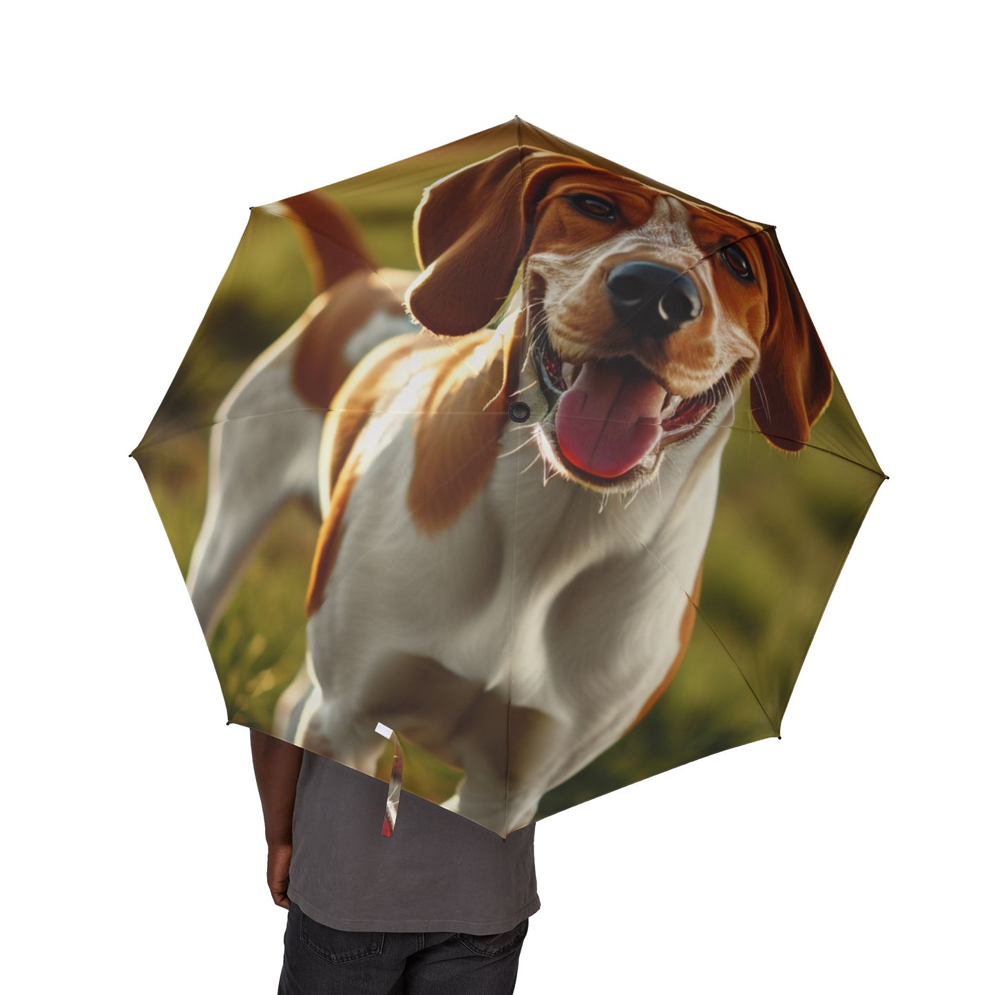 Bracco Italiano Semi-Automatic Foldable Umbrella