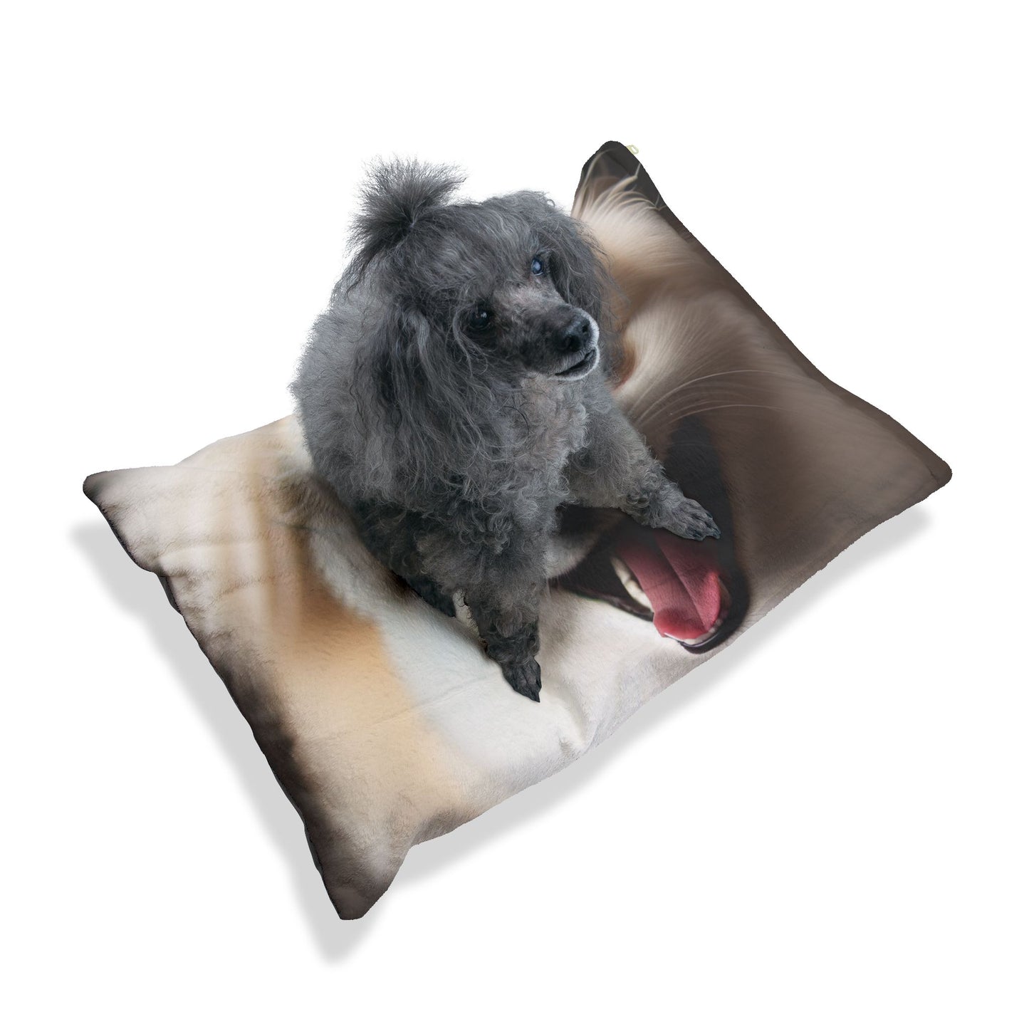 Norrbottenspets Pet Bed