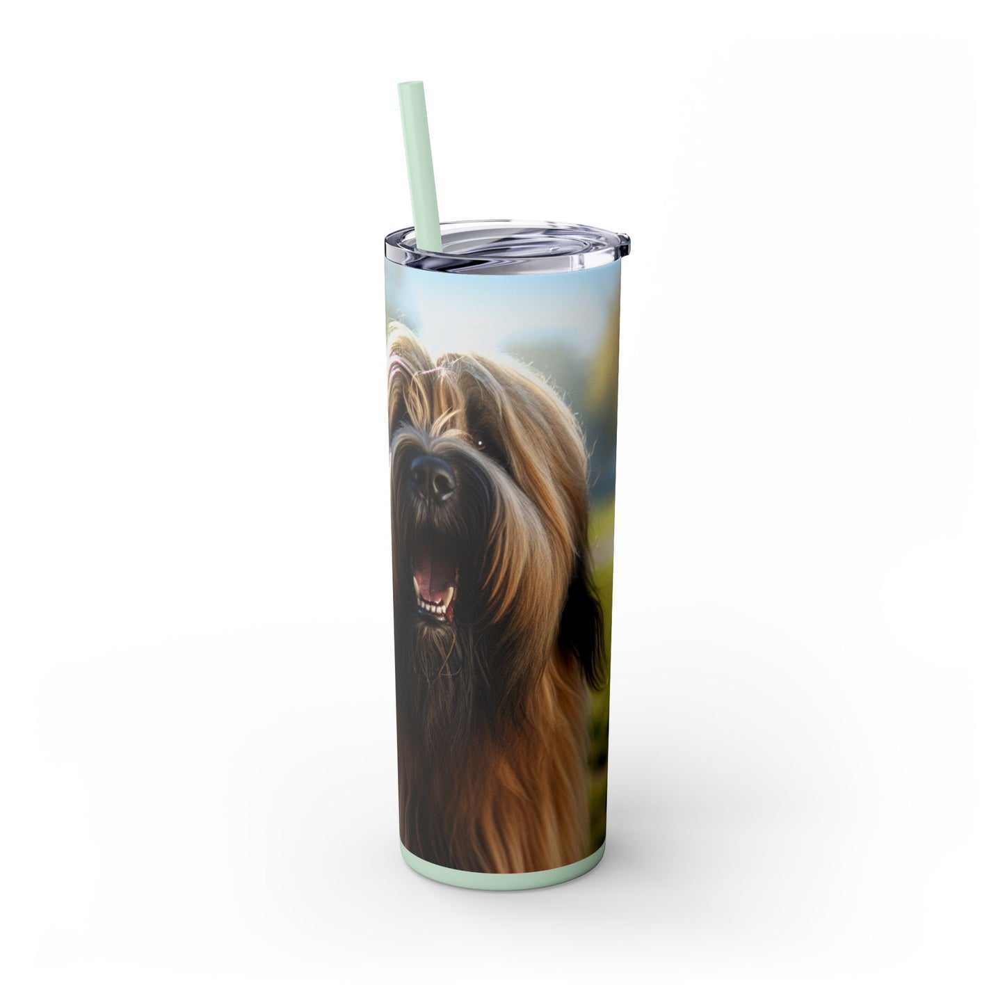 Briard Tumbler with Straw, 20oz