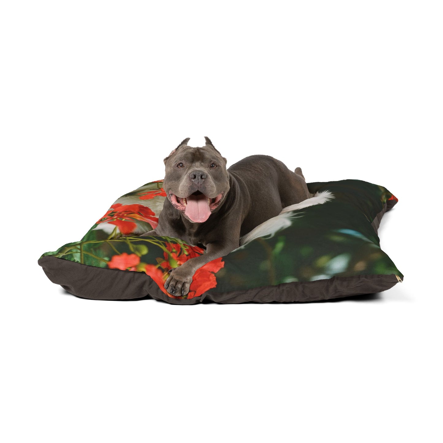 Coton de Tulear Pet Bed