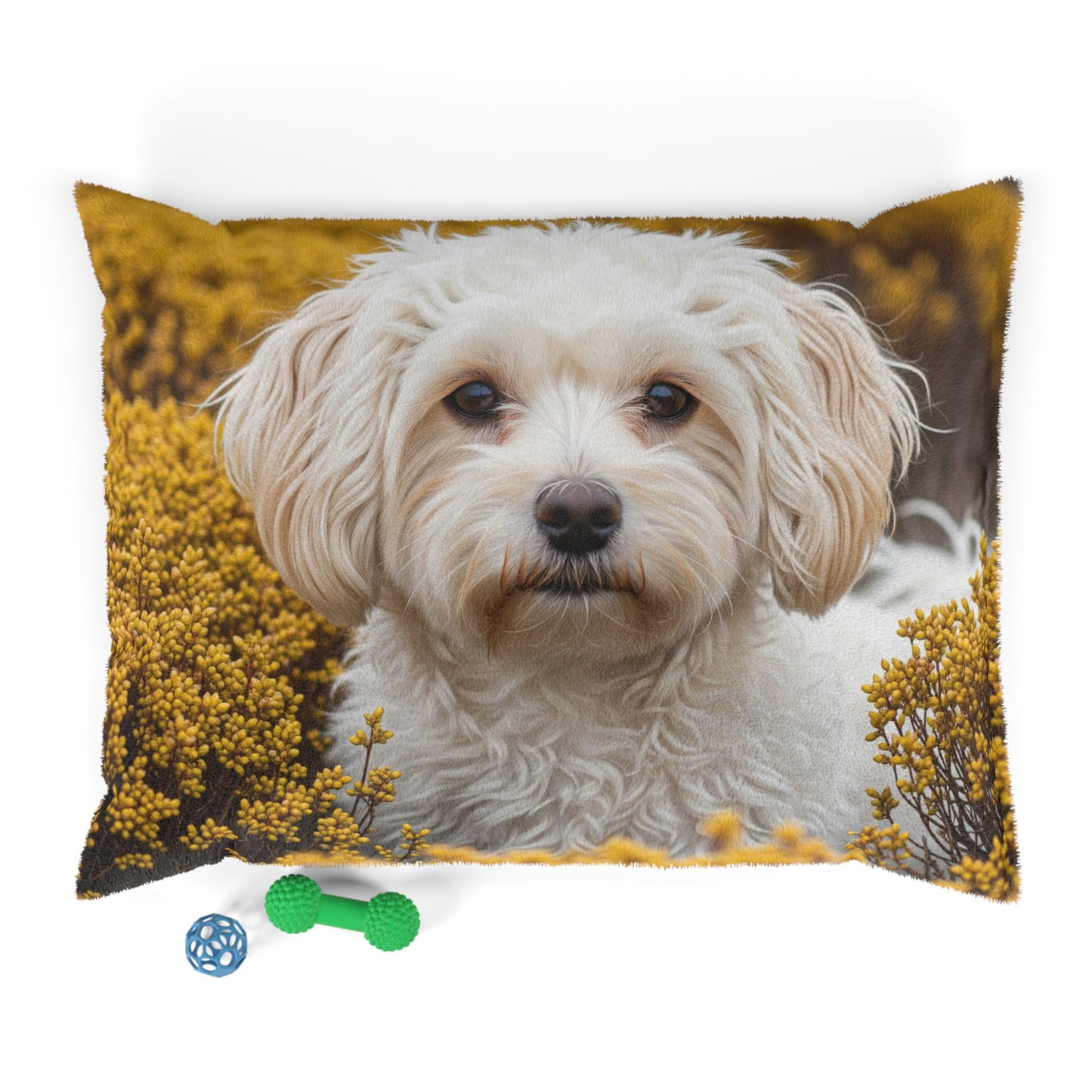 Maltipoo Pet Bed