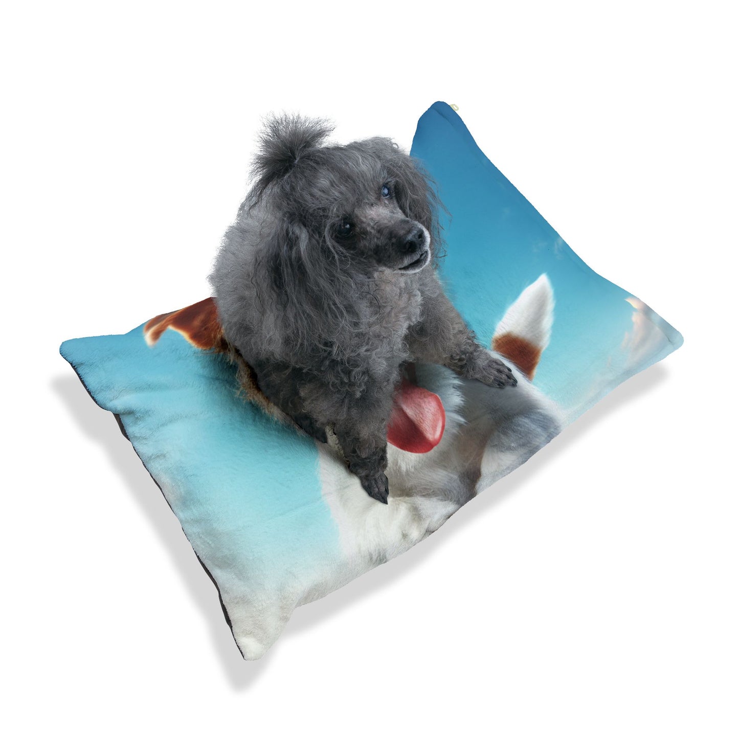 Russell Terrier Pet Bed