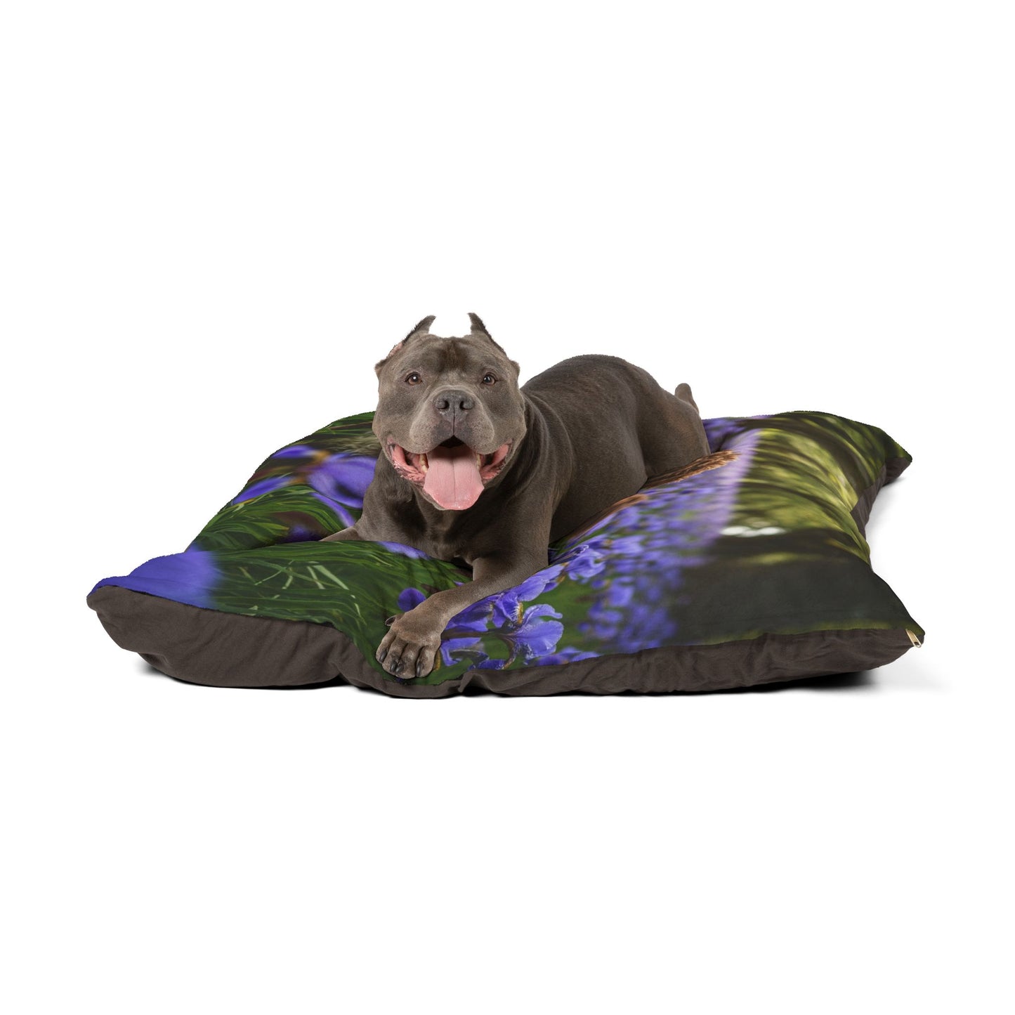 Portuguese Water Dog Pet Bed
