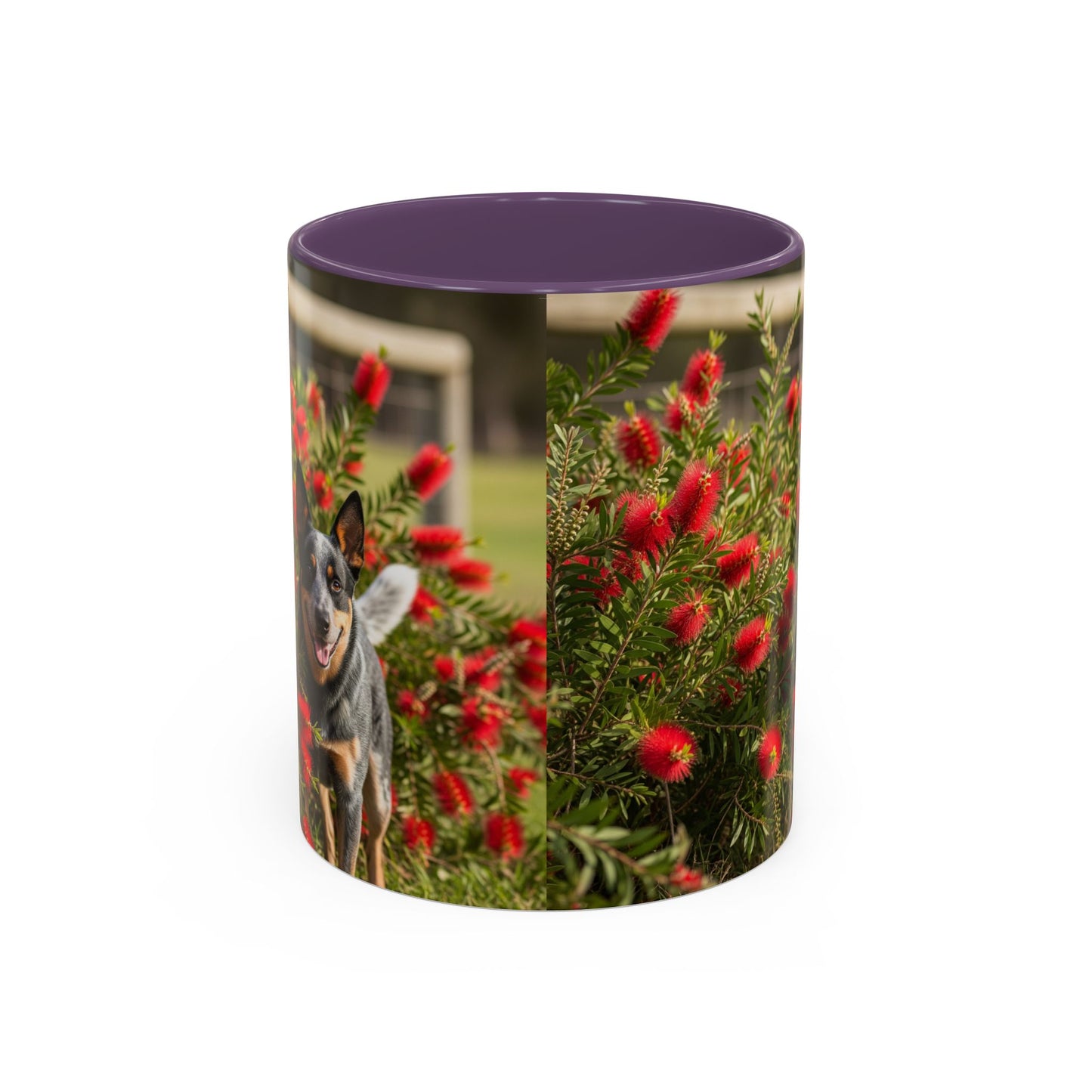 Australian Cattle Dog Accent Coffee Mug - Perfect Gift for Dog Lovers