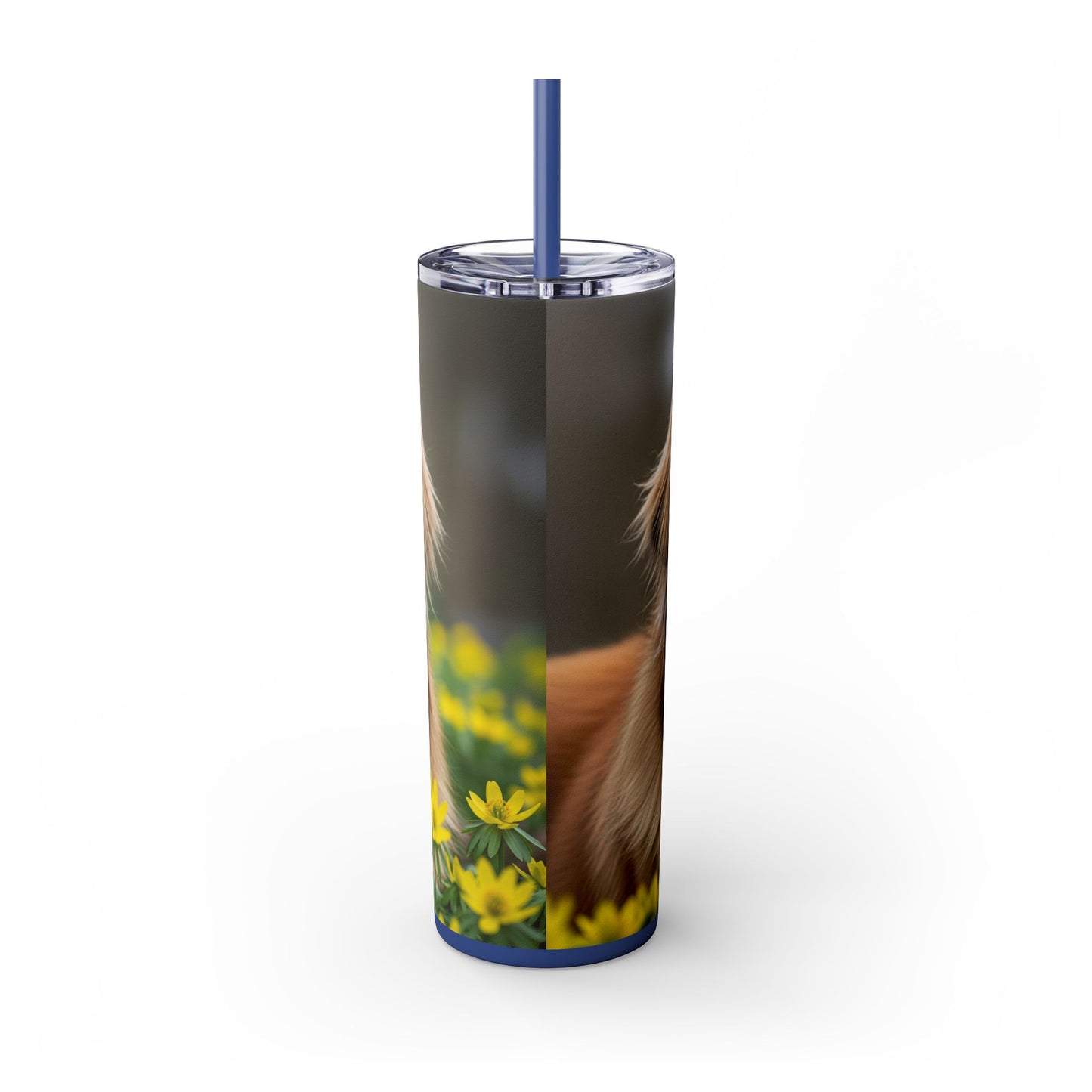 Leonberger Tumbler with Straw, 20oz