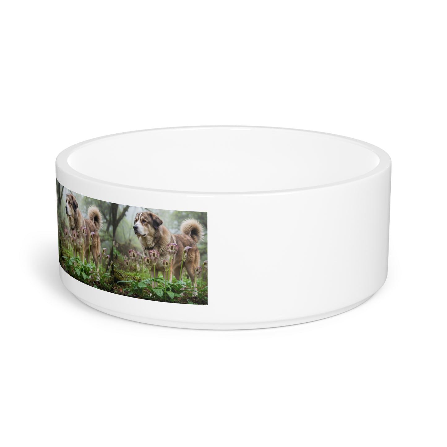 Bakharwal Pet Bowl