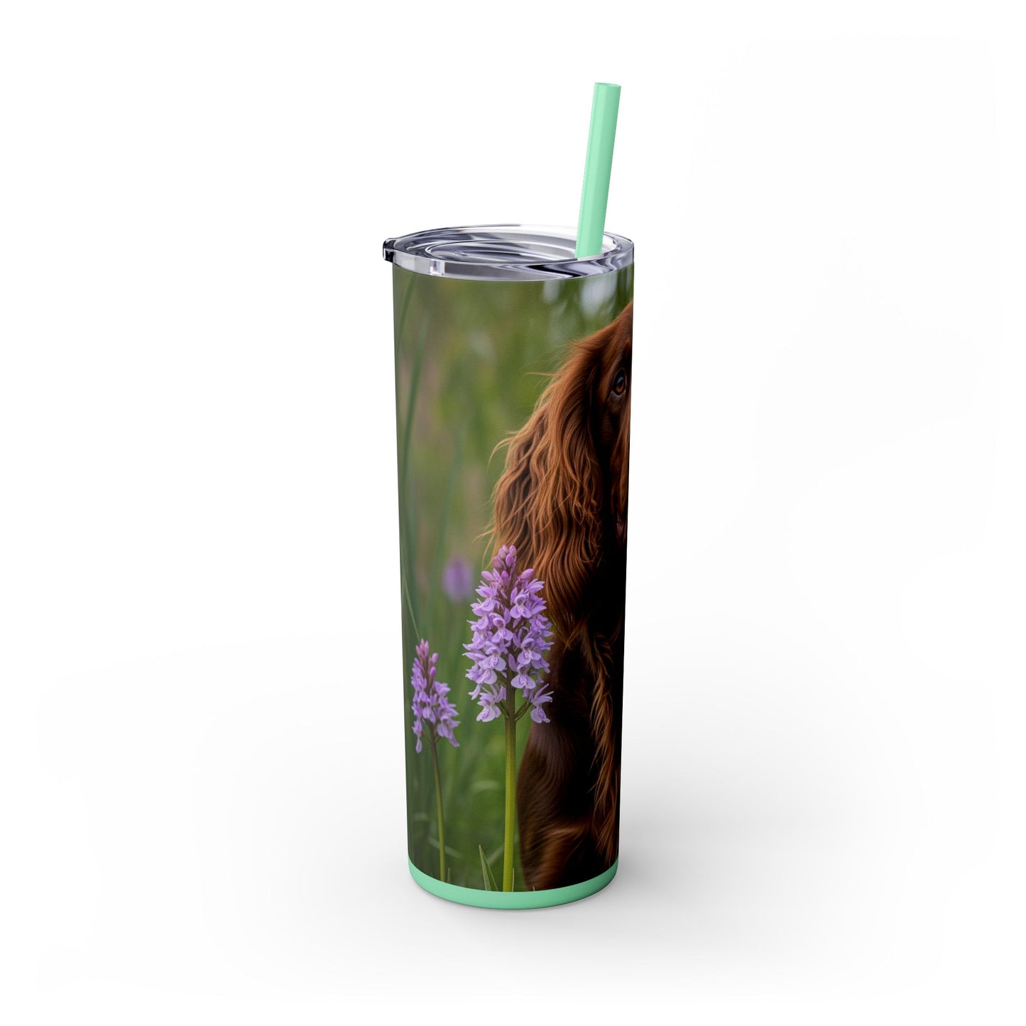 Pont-Audemer Spaniel Tumbler with Straw, 20oz