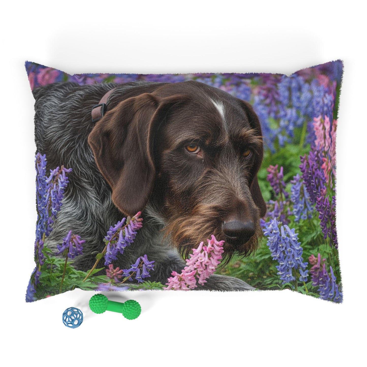 Wirehaired Slovakian Pointer Pet Bed