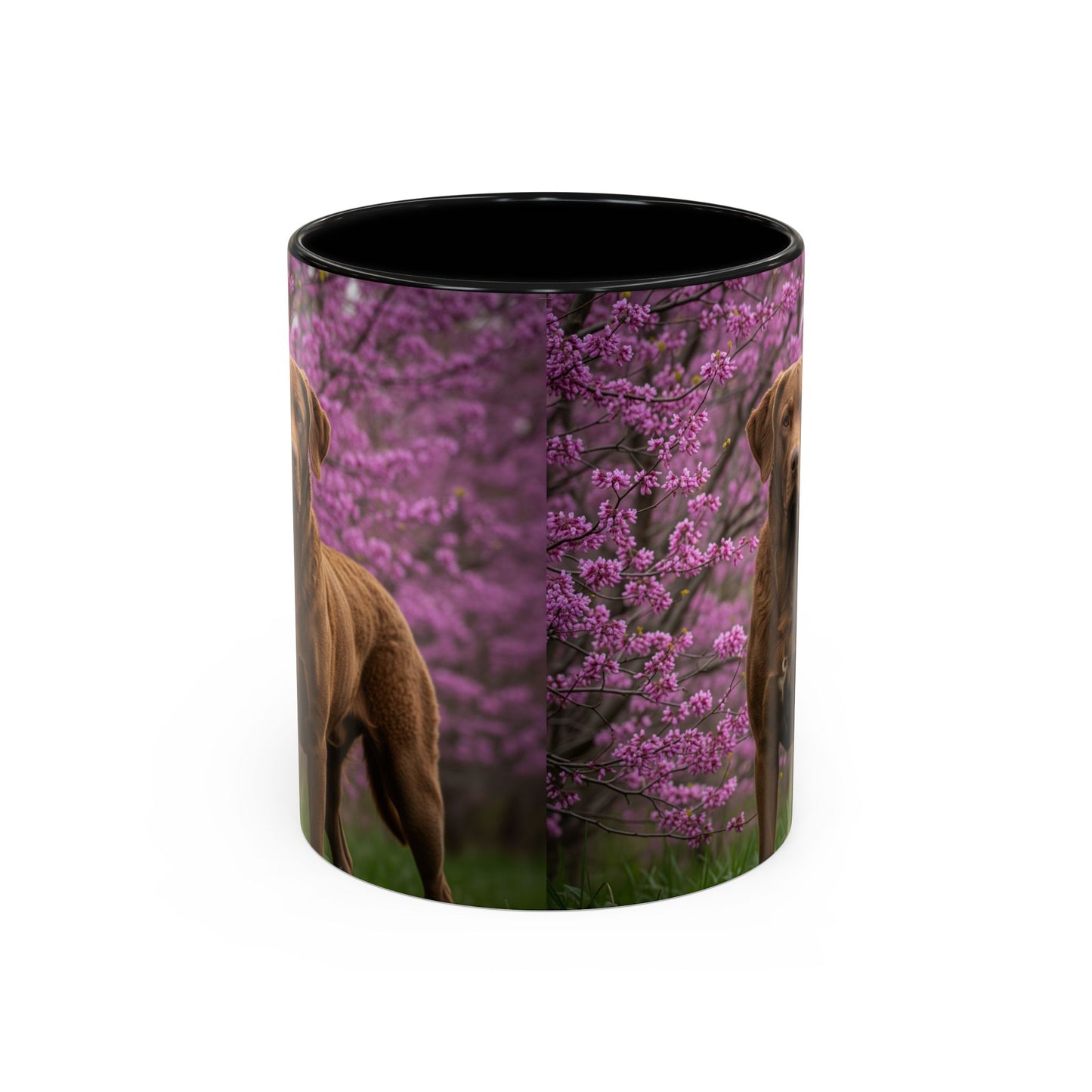 Chesapeake Bay Retriever Accent Coffee Mug - Perfect Gift for Dog Lovers