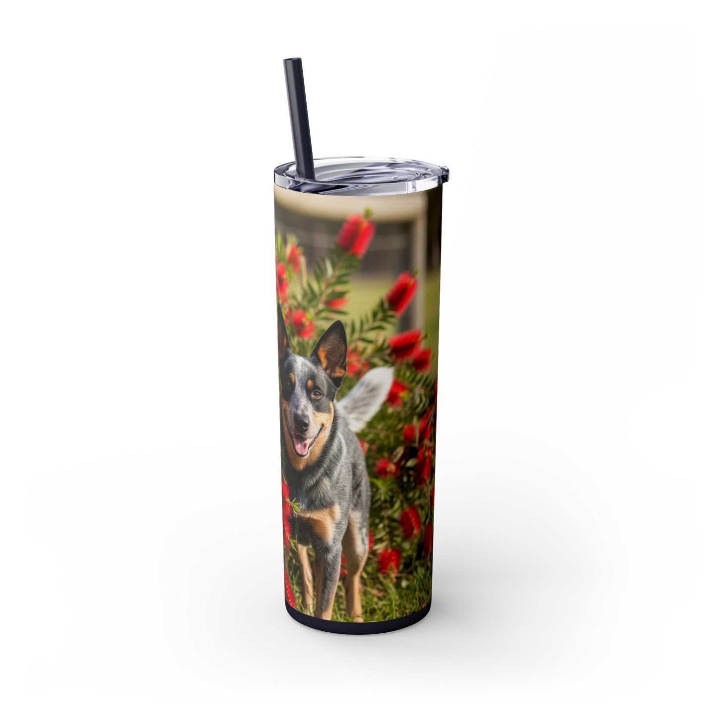 Australian Cattle Dog Skinny Tumbler with Straw, 20oz