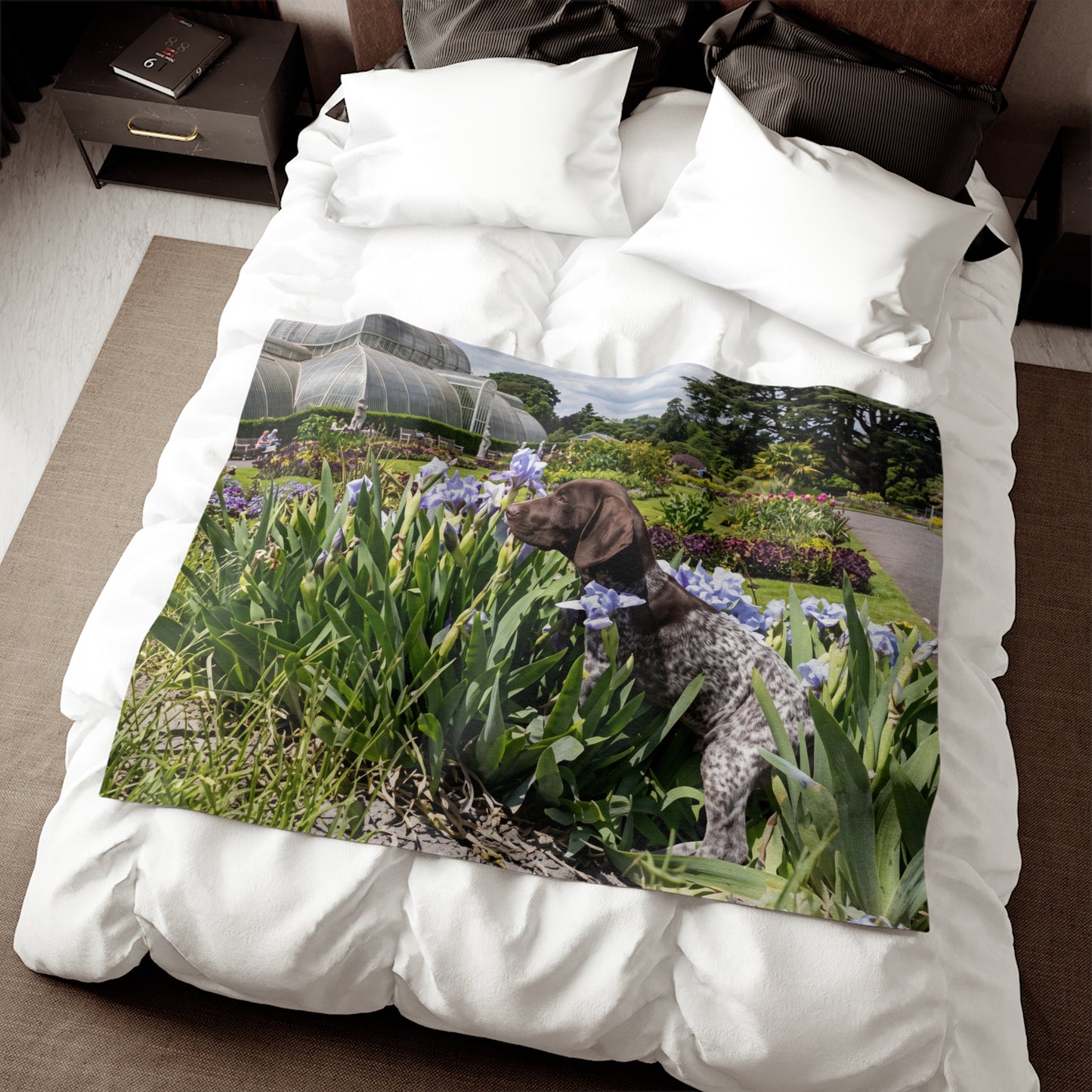 Pointer Dog Blanket