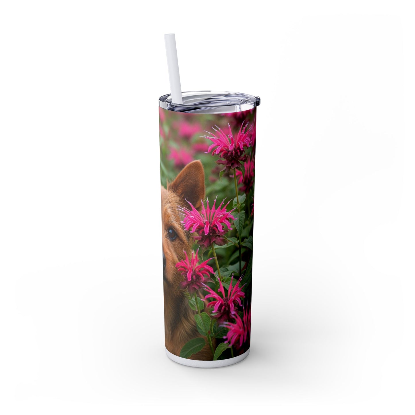 Norwich Terrier Skinny Tumbler with Straw, 20oz