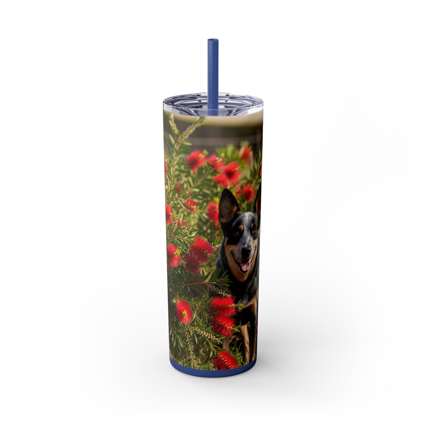 Australian Cattle Dog Skinny Tumbler with Straw, 20oz
