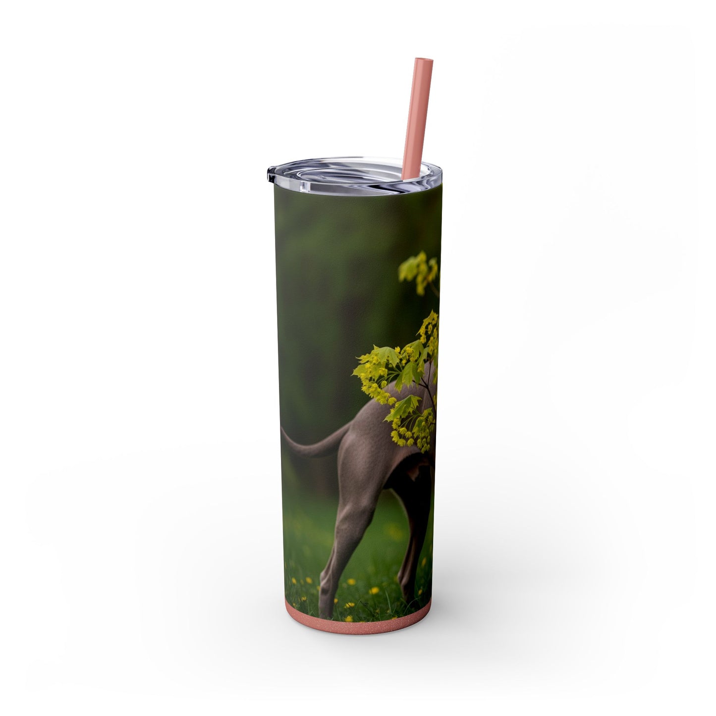 Weimaraner Skinny Tumbler with Straw, 20oz