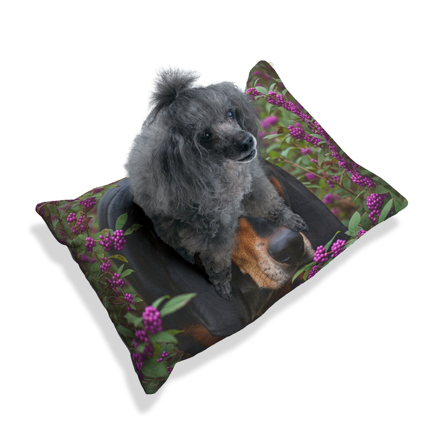 Black and Tan Coonhound Pet Bed