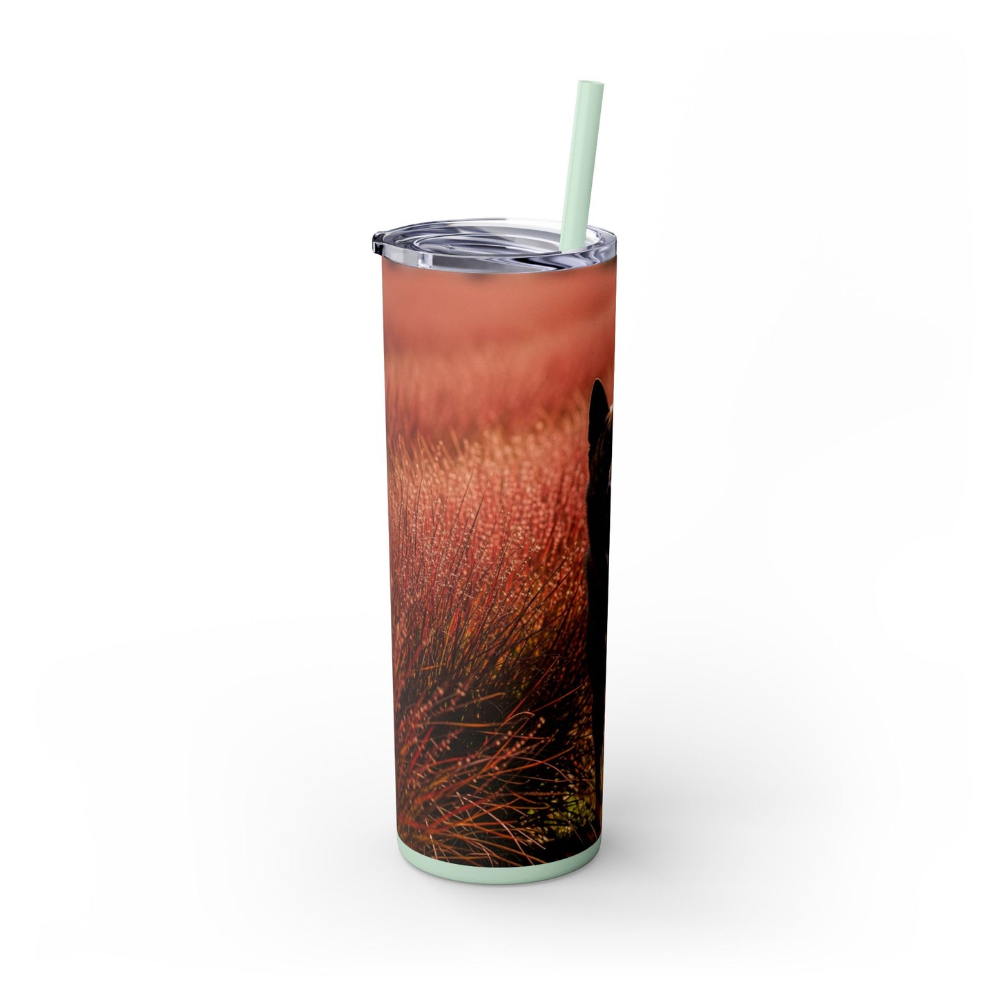 Kai Ken Tumbler with Straw, 20oz