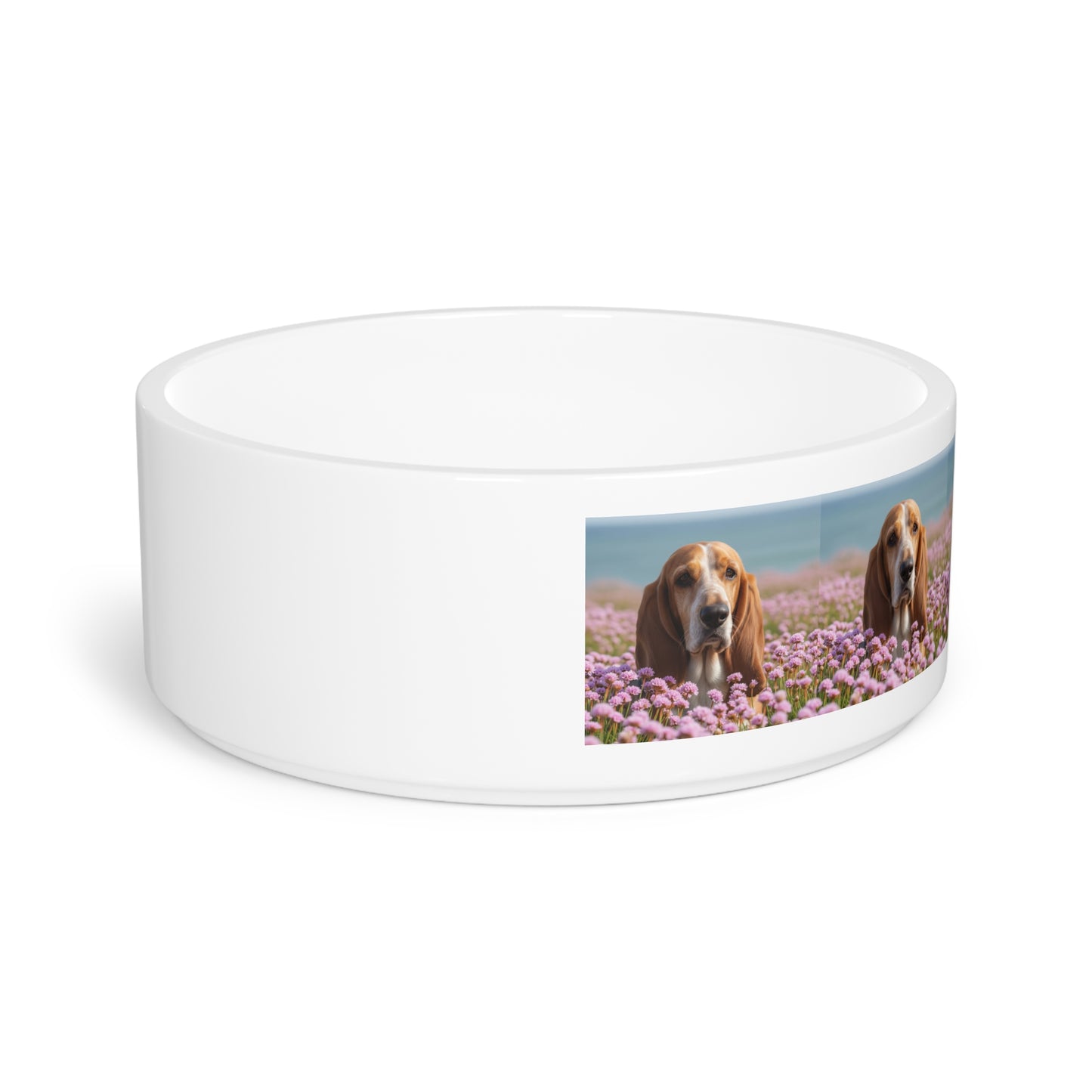 Basset Fauve de Bretagne Pet Bowl