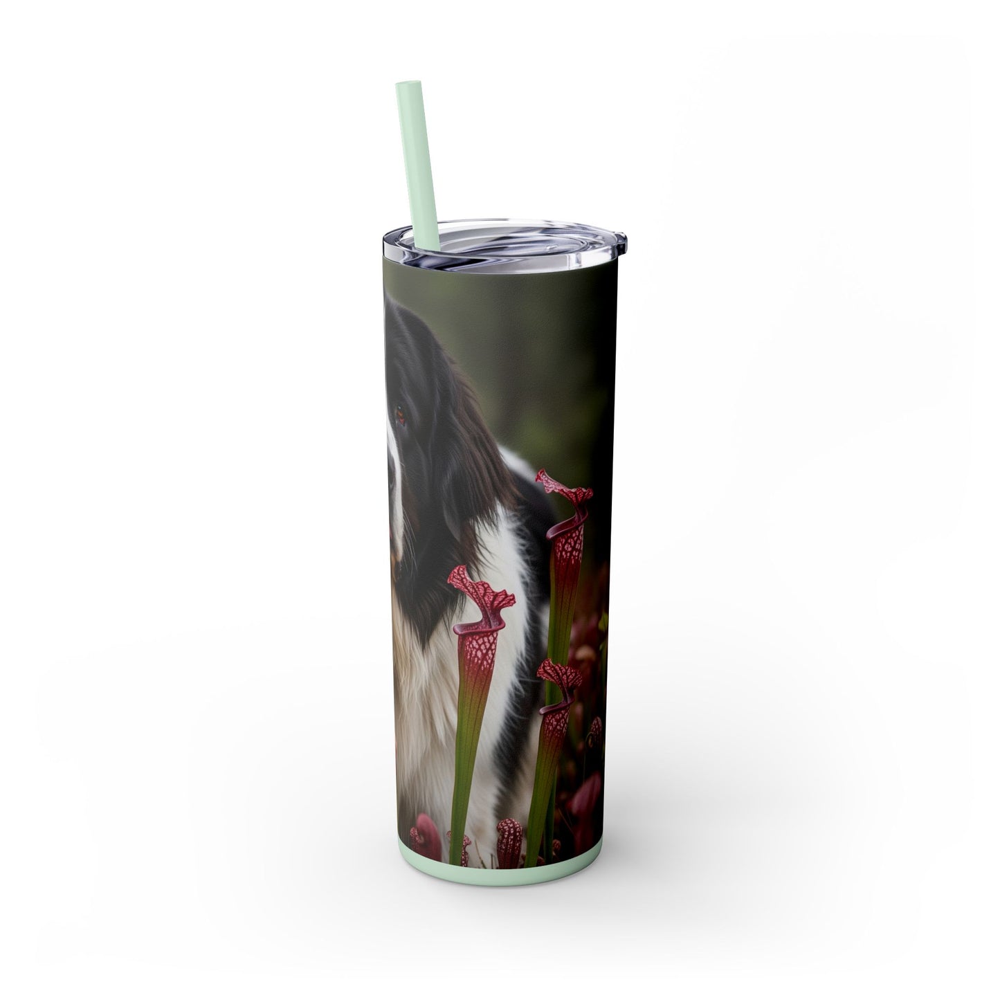 Landseer Tumbler with Straw, 20oz