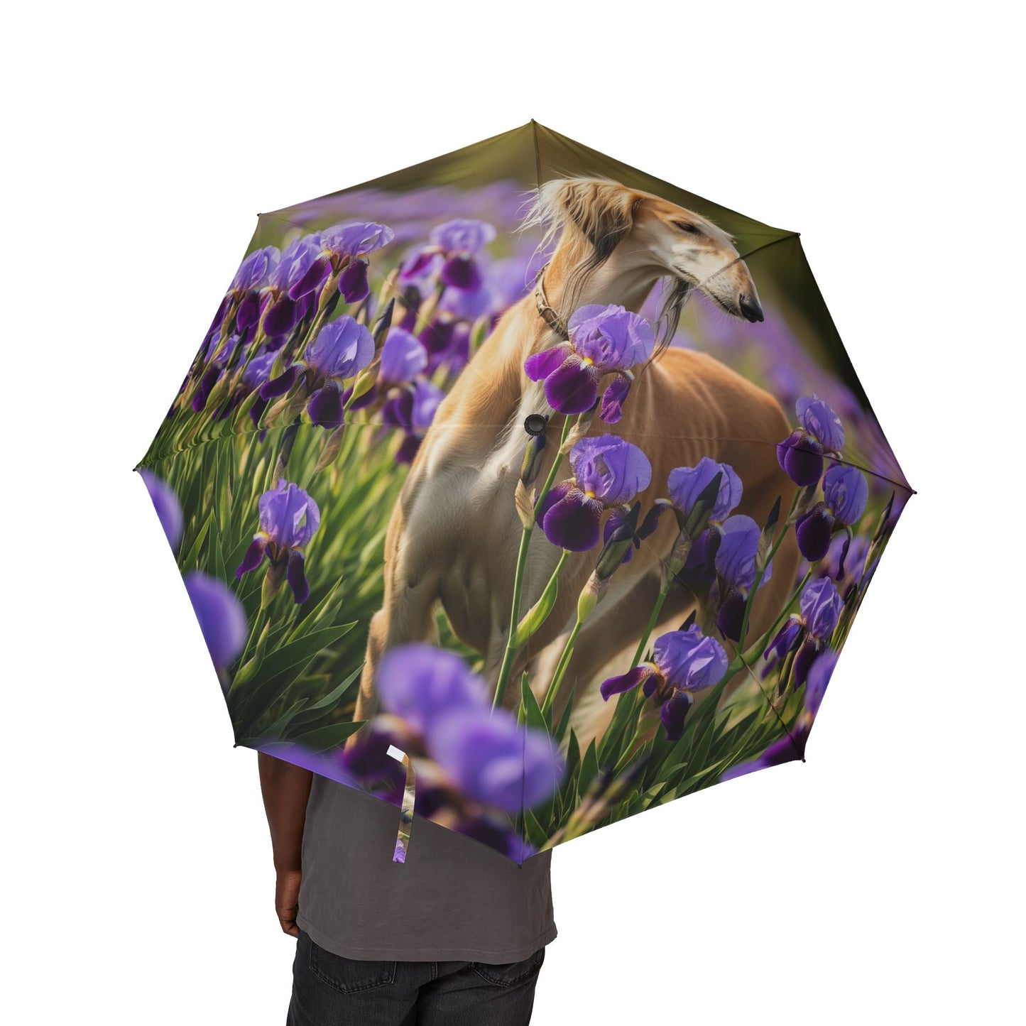 Saluki Semi-Automatic Foldable Umbrella