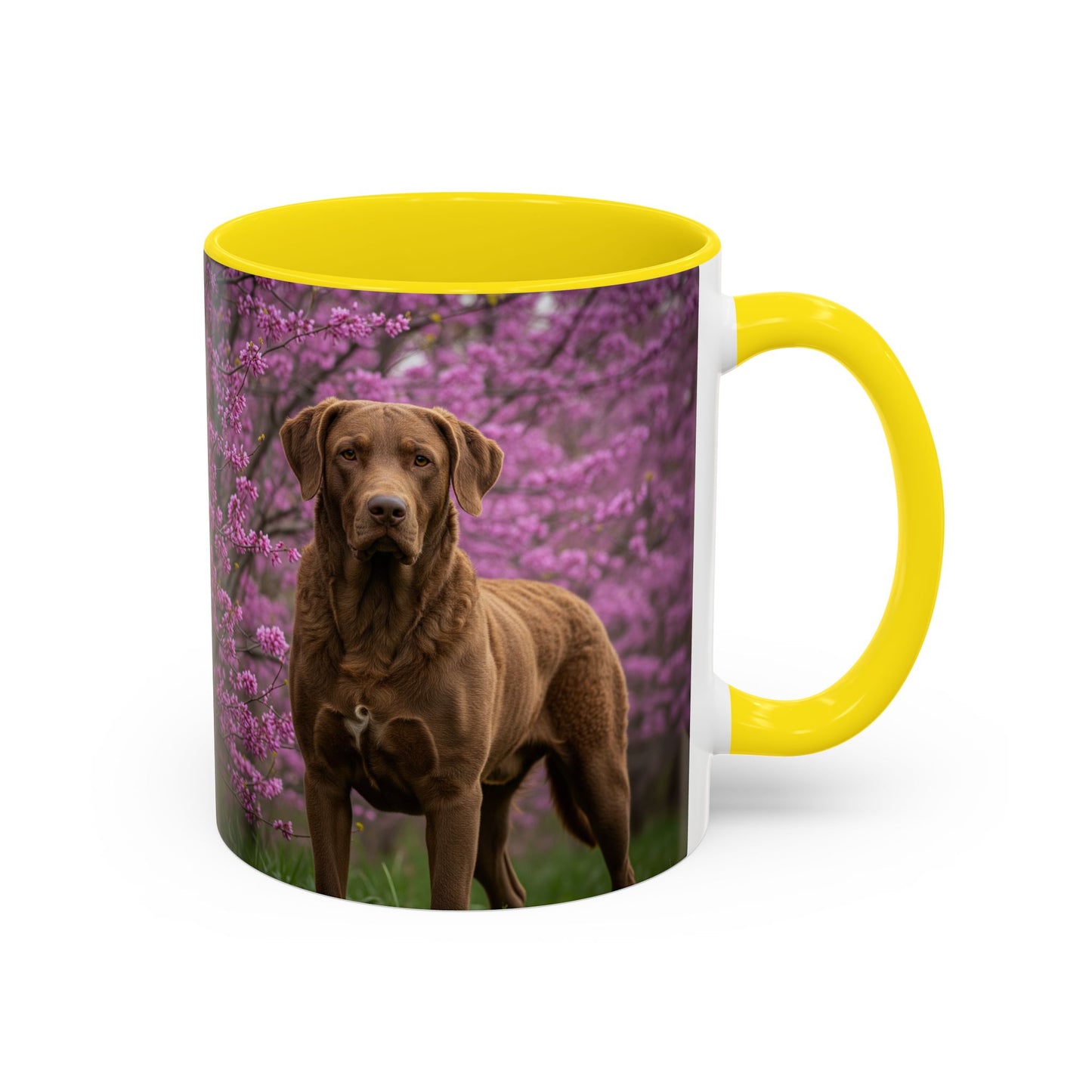 Chesapeake Bay Retriever Accent Coffee Mug - Perfect Gift for Dog Lovers