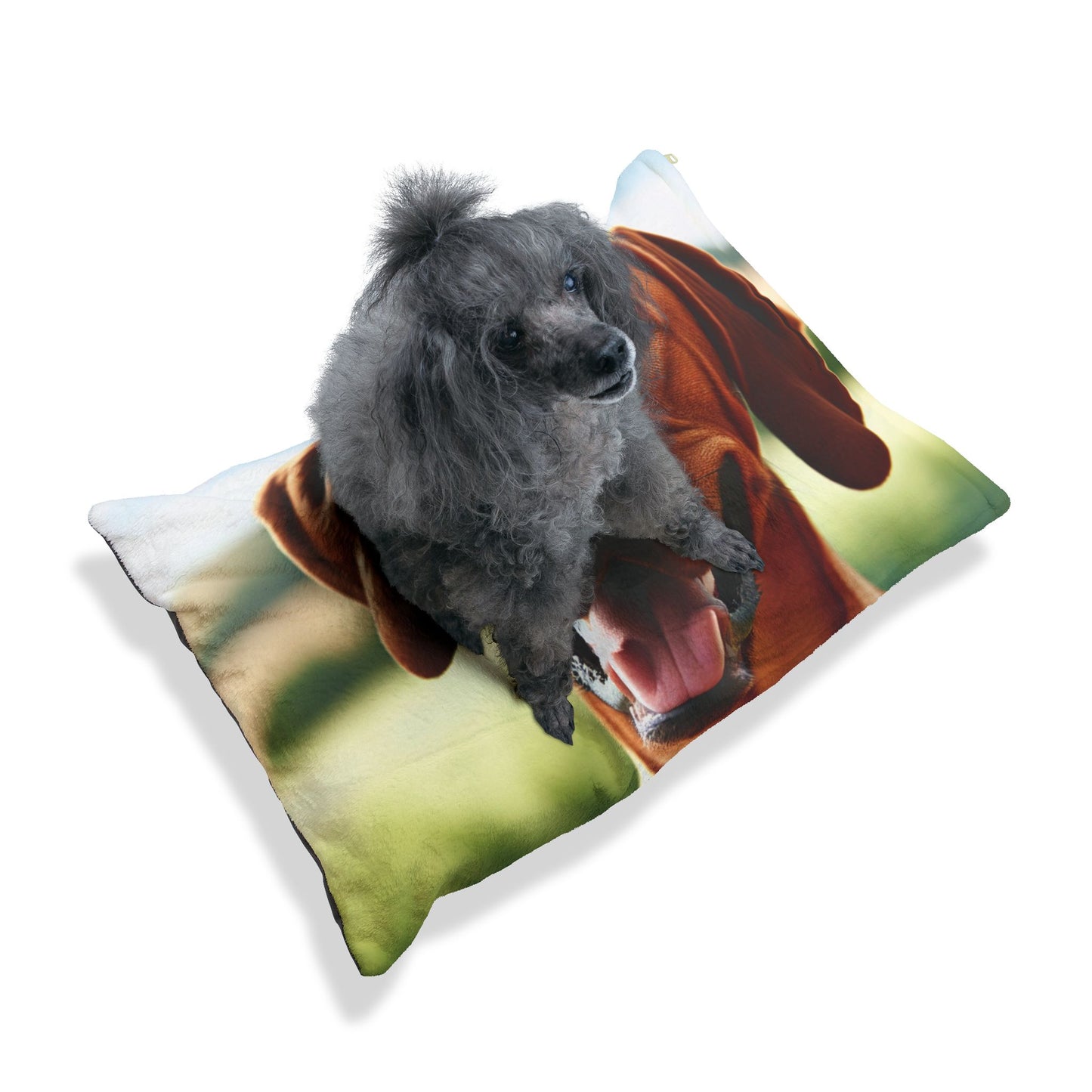 Portuguese Pointer Pet Bed