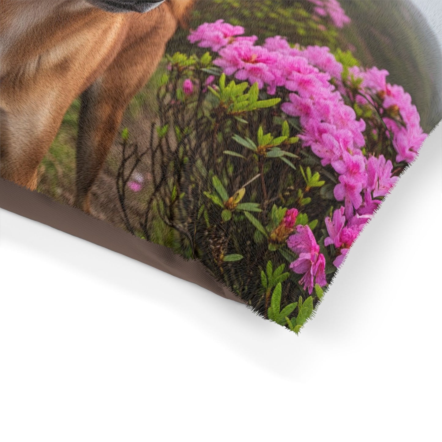 Taiwan Dog Pet Bed