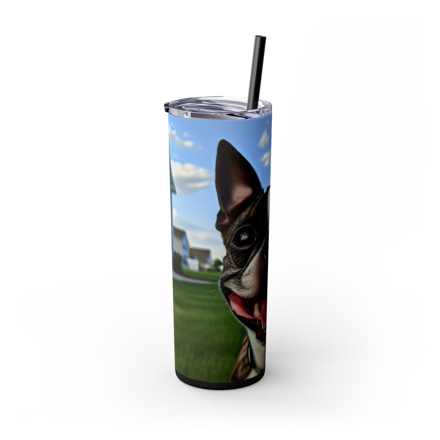 Boston Terrier Tumbler with Straw, 20oz