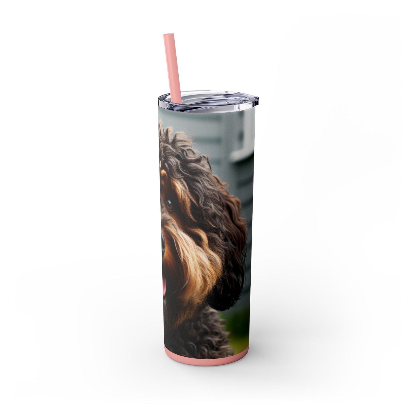 Barbet Tumbler with Straw, 20oz