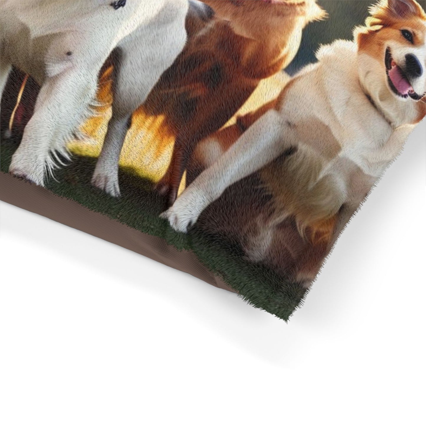 Class of Dogs Pet Bed