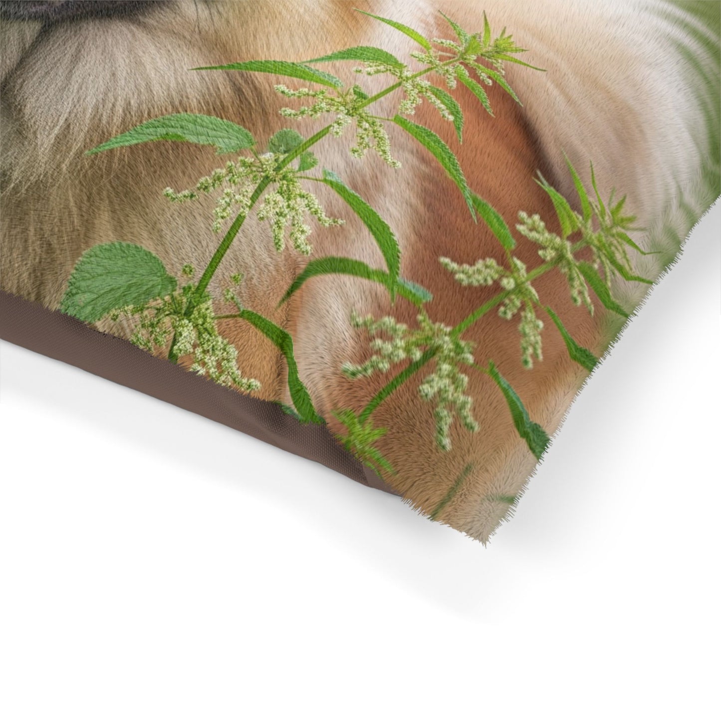 Eurasier Pet Bed