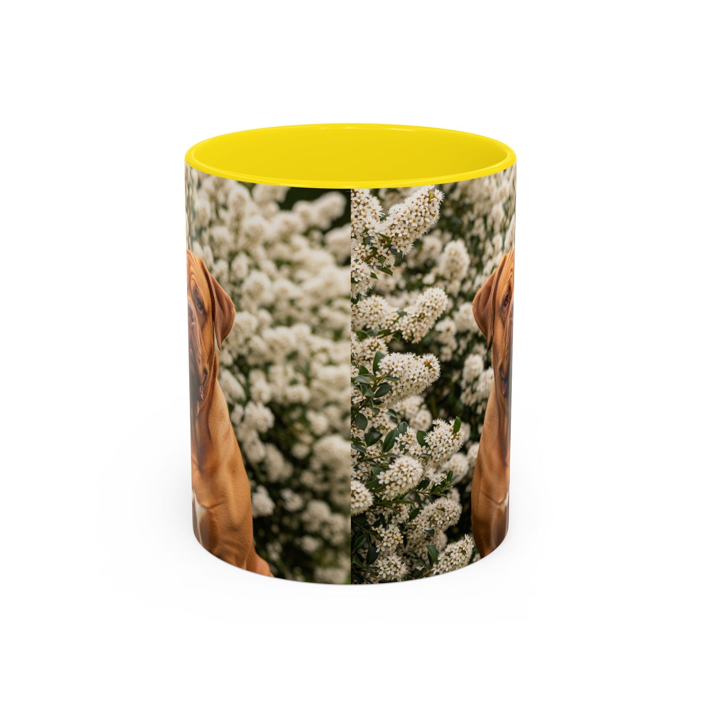 Dogue de Bordeaux Accent Coffee Mug - Perfect Gift for Dog Lovers