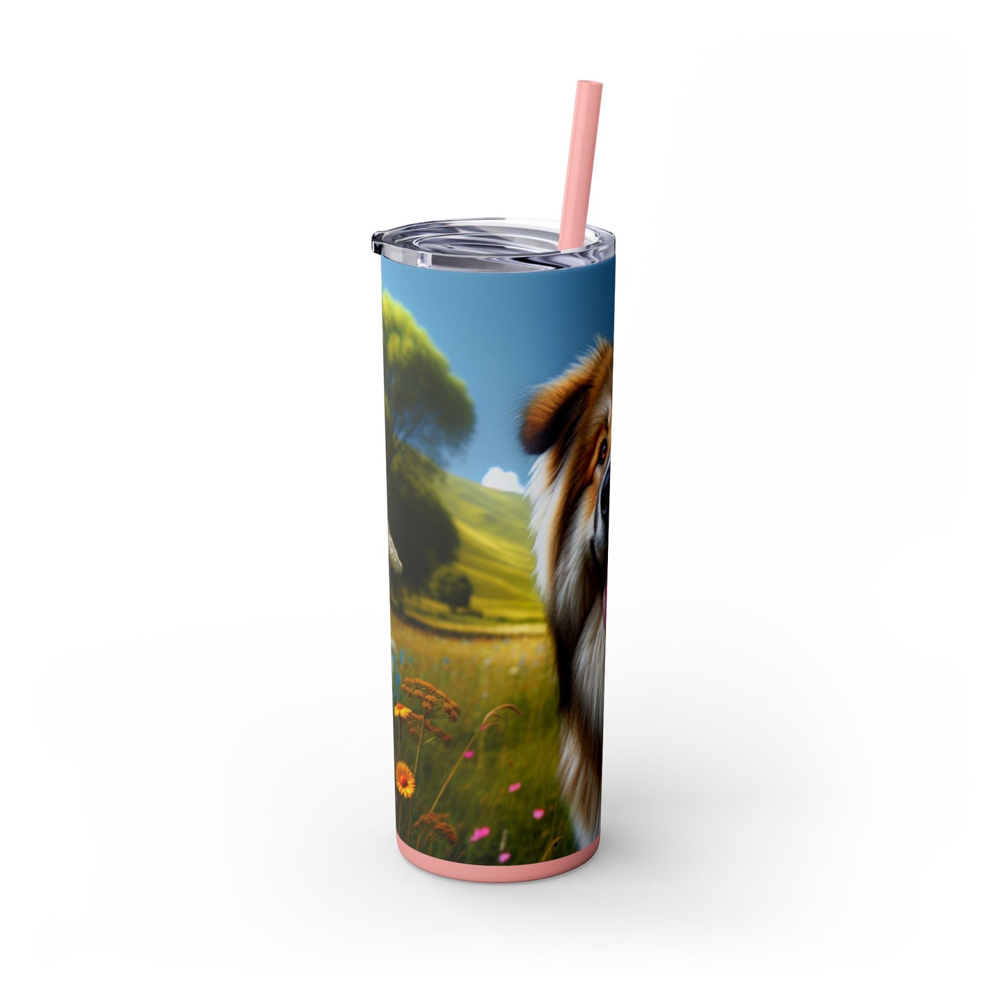 Bakharwal Tumbler with Straw, 20oz