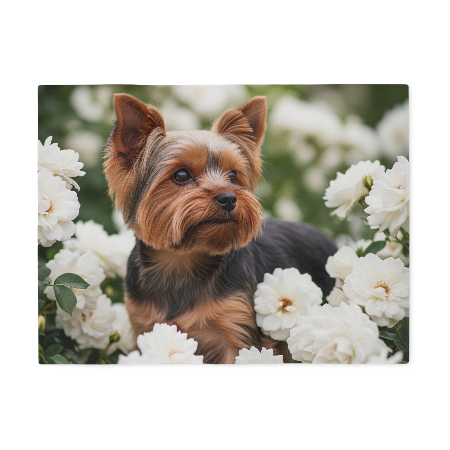 Yorkshire Terrier Sweatshirt Blanket