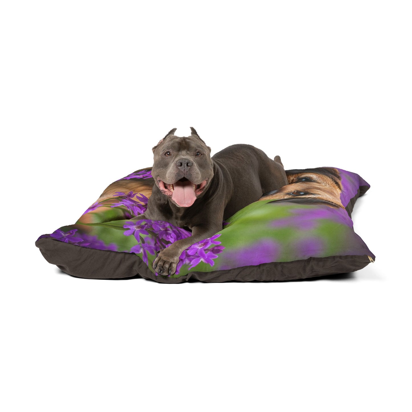 Border Terrier Pet Bed