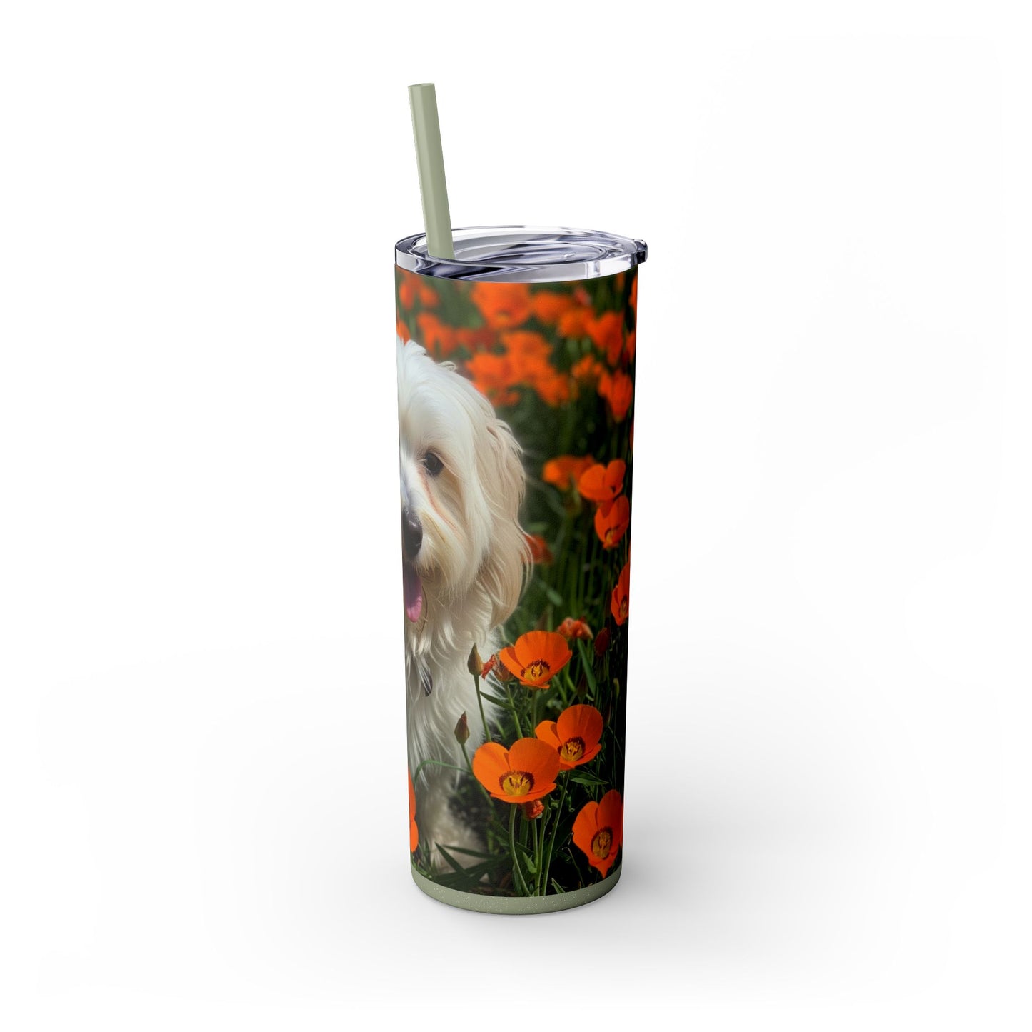 Havanese Tumbler with Straw, 20oz