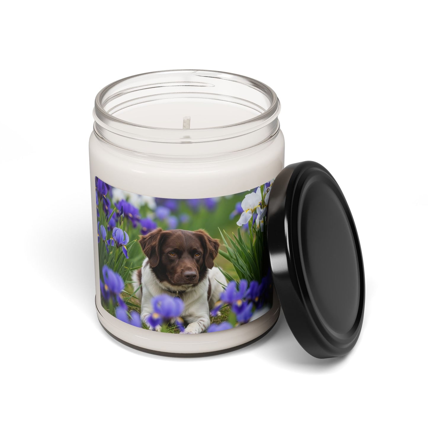 Stabyhouns- Scented Soy Candle, 9oz