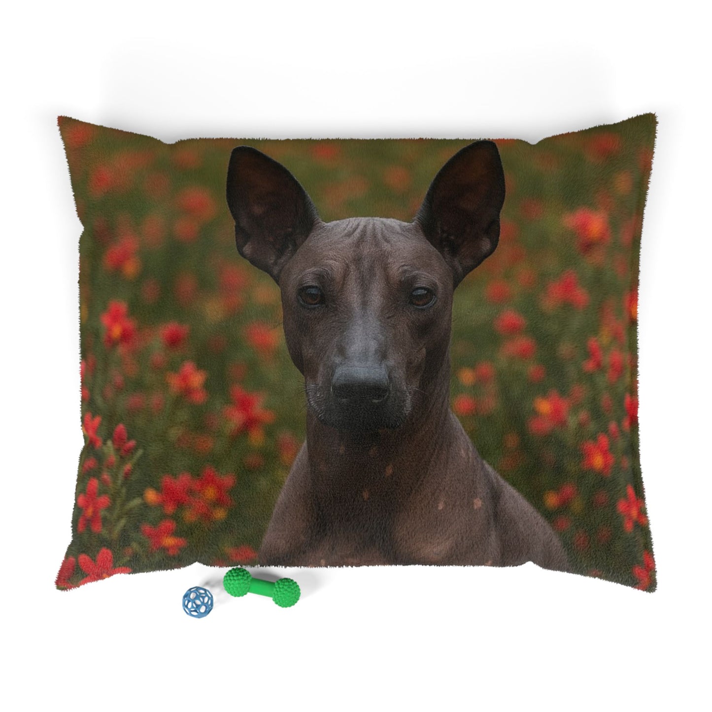 Peruvian Inca Orchid Pet Bed
