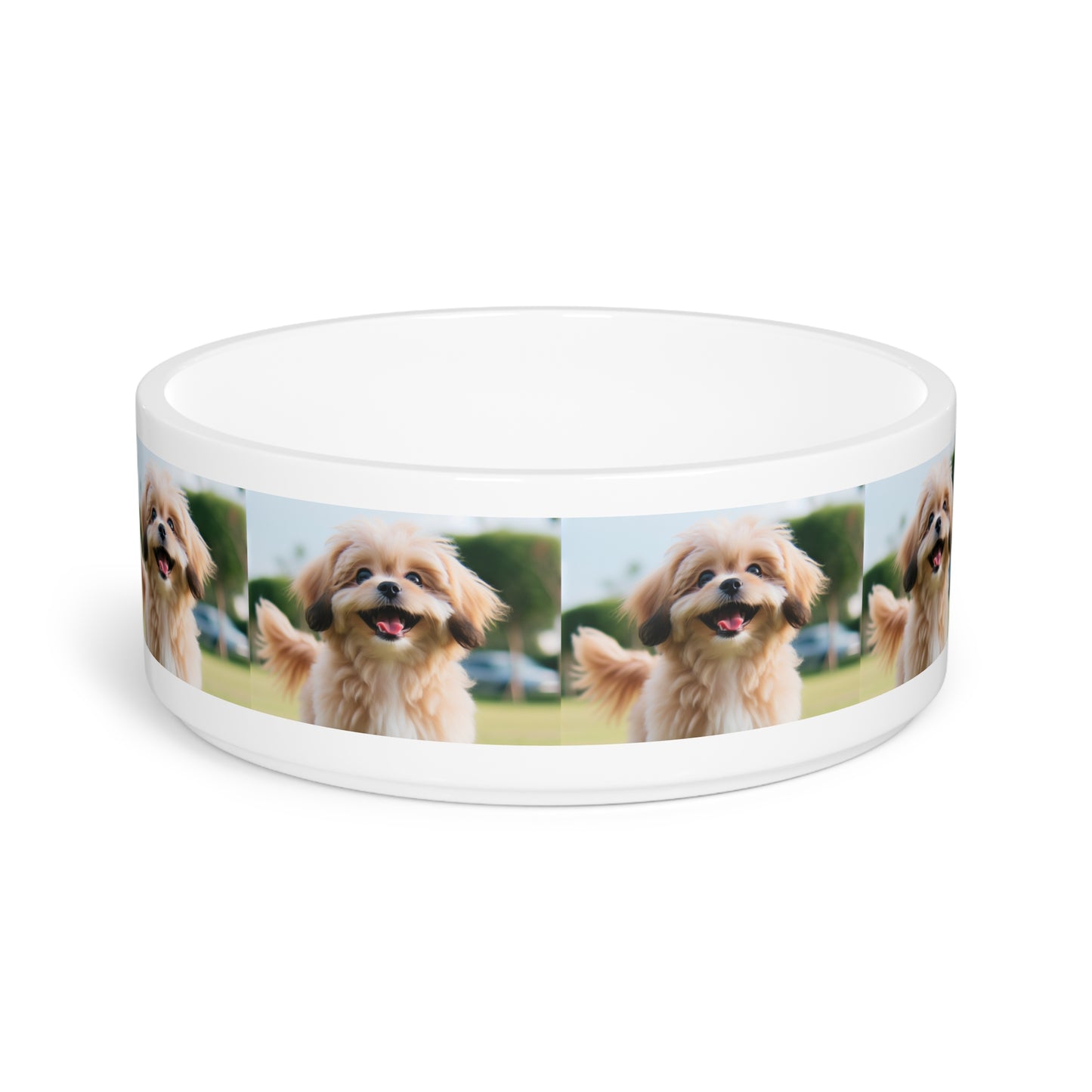 Pekapoo Pet Bowl